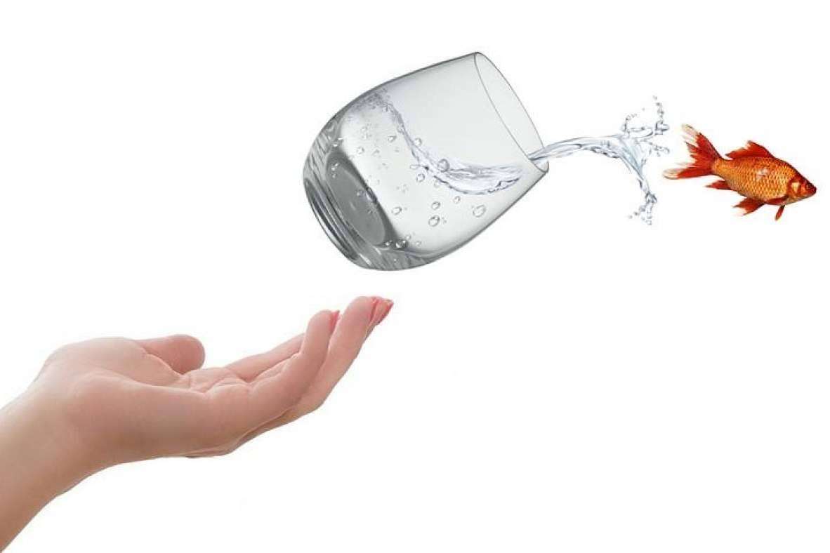 La zona de confort, a veces, no lo es tanto, por Pedro Serrano Coach