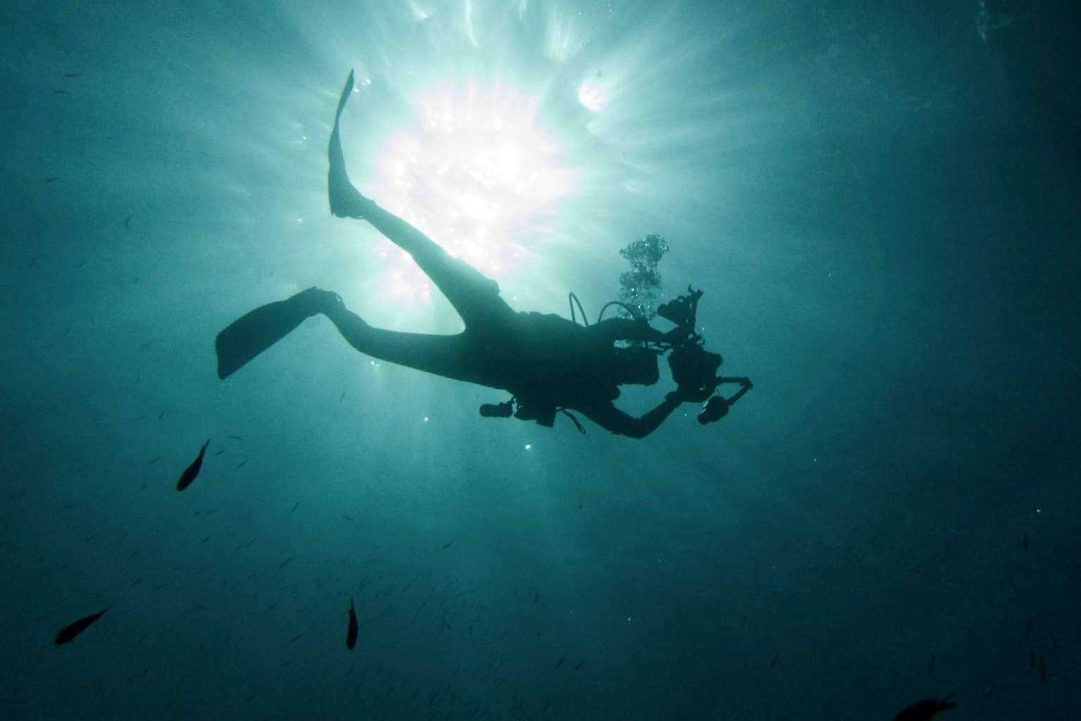 Unisub imparte un curso de submarinismo en las Islas Medas