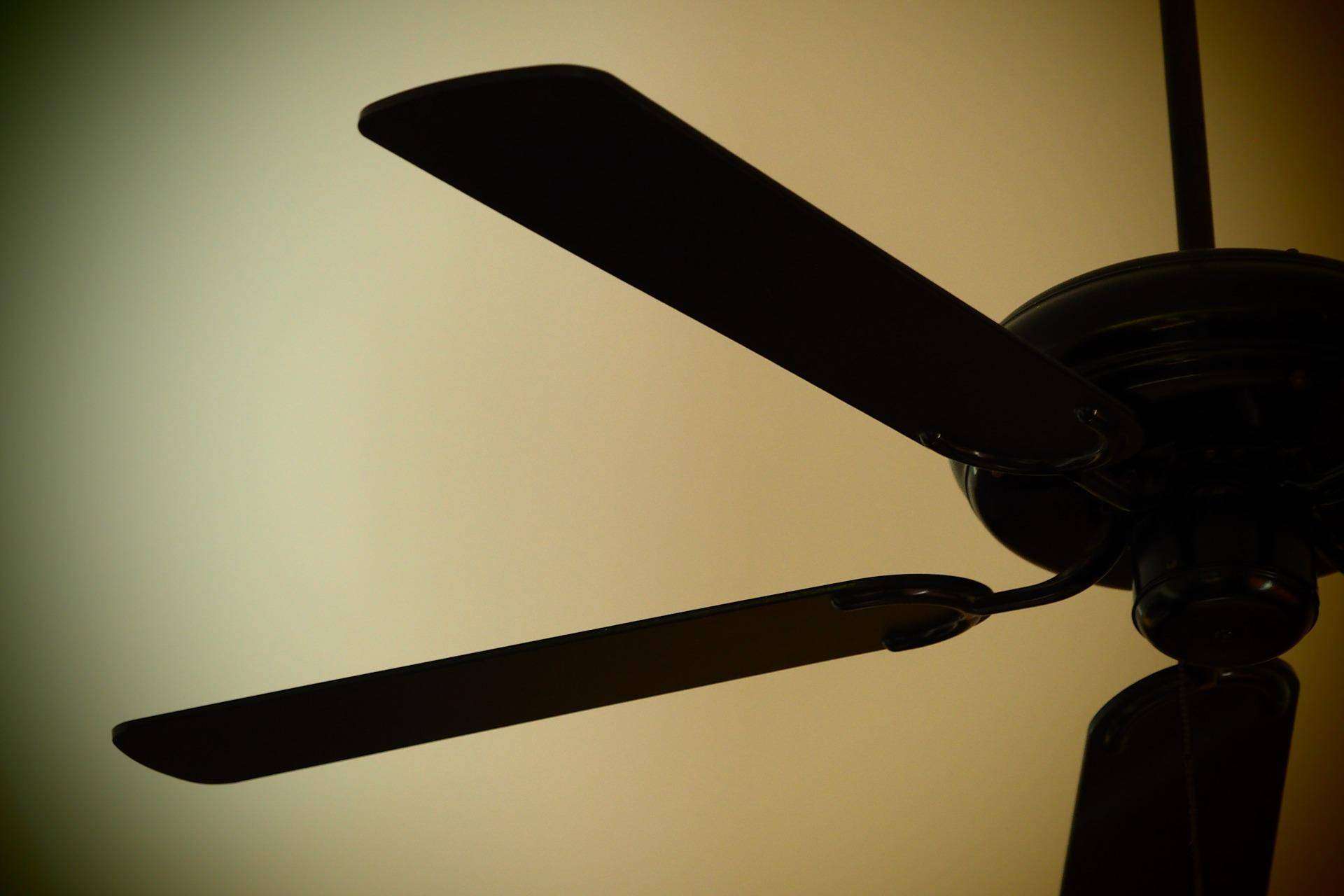 Ventajas de los ventiladores para el hogar de Buychester