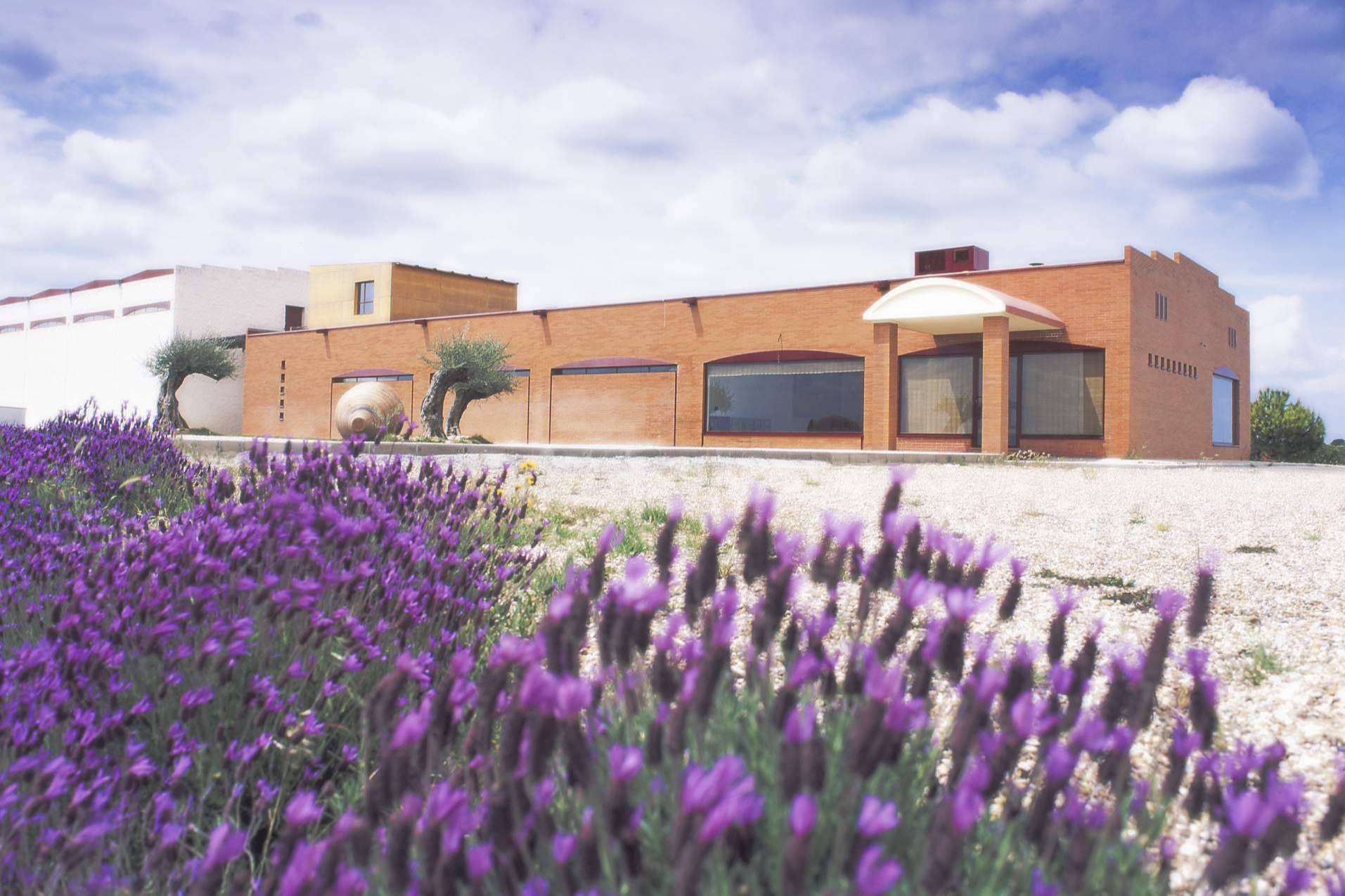 Sanclodio se suma al conjunto de bodegas boutique de Carlos Moro