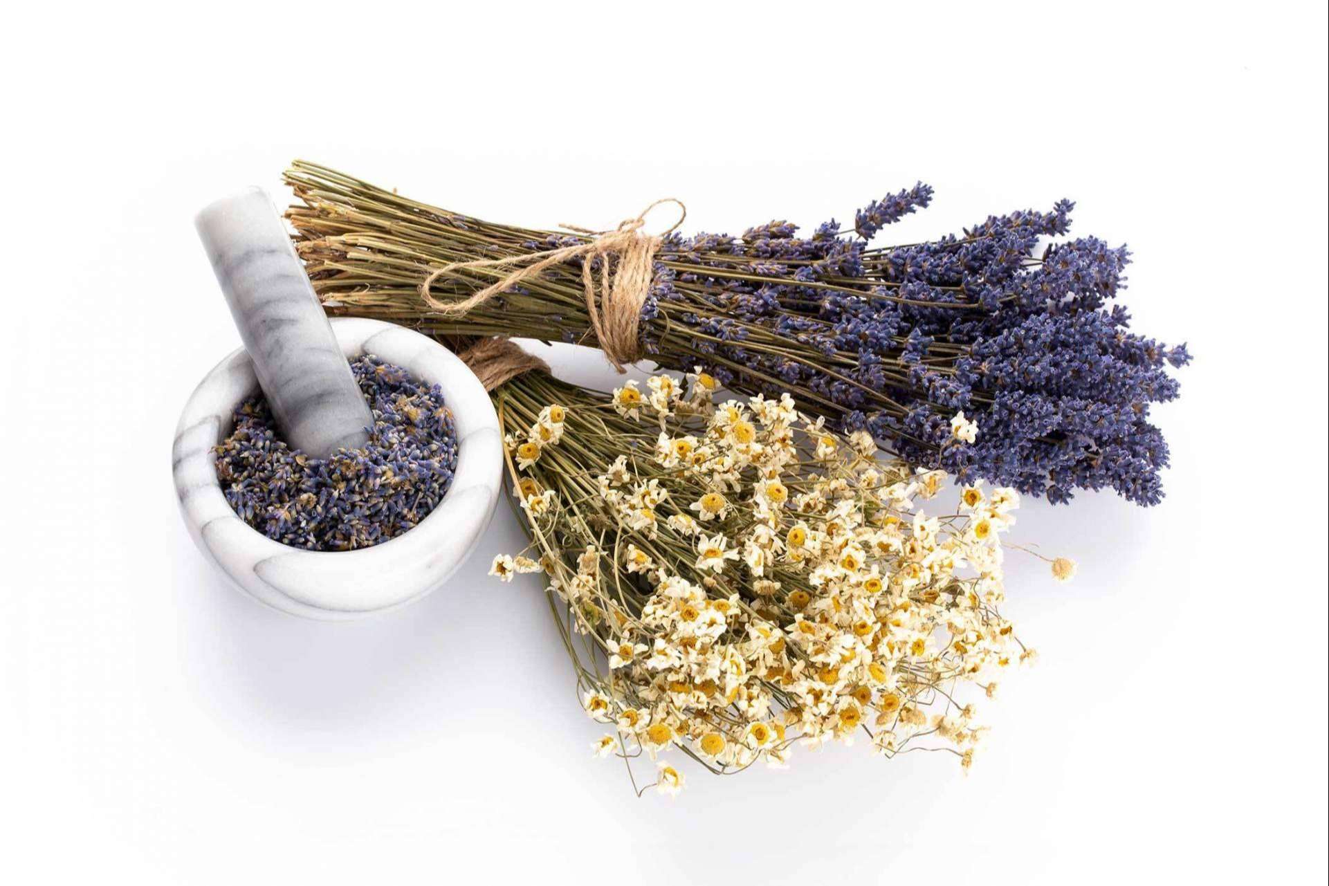 OceanEcoFuerte y los beneficios de la cosmética natural