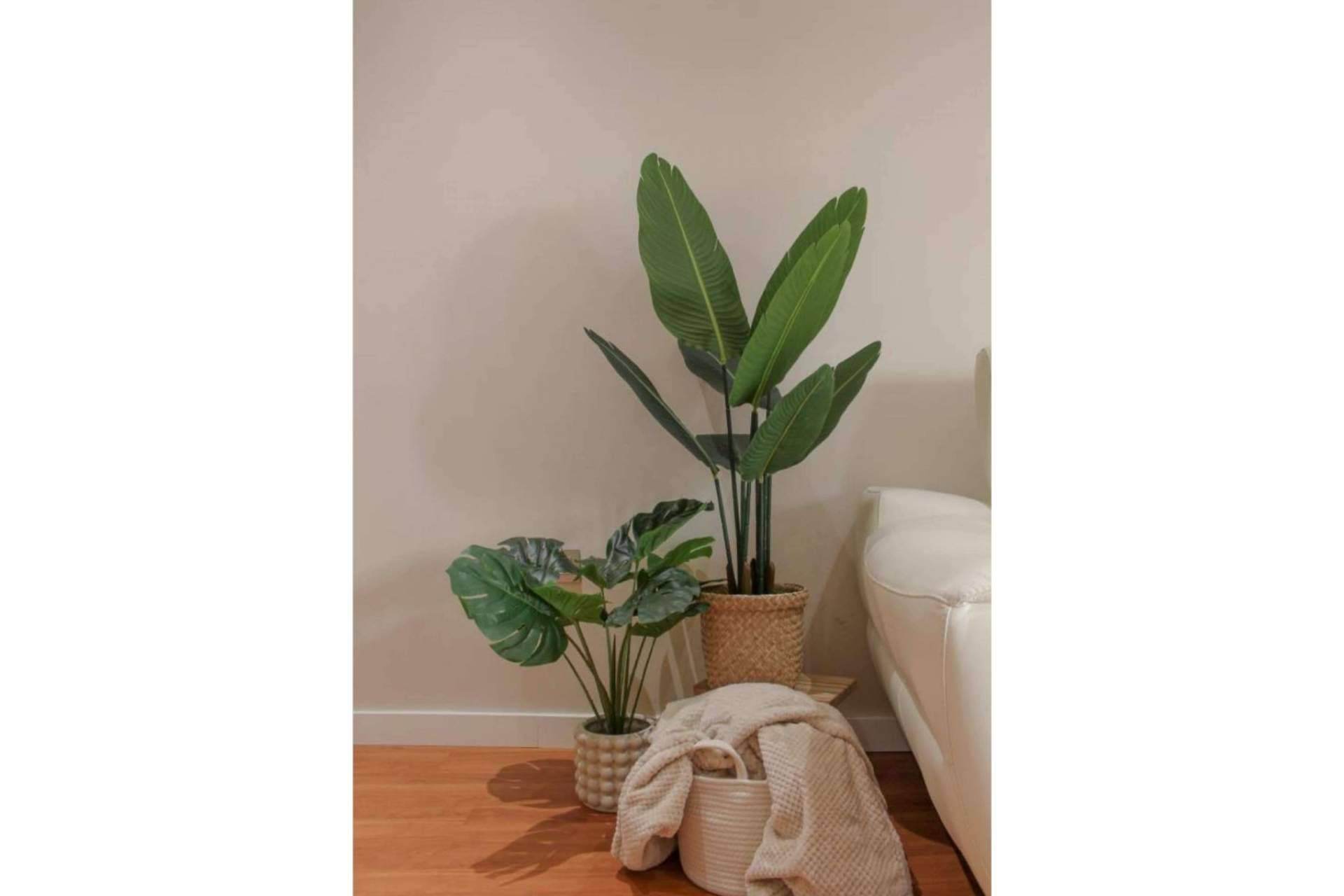 Beneficios de optar por plantas artificiales, con Zamyo