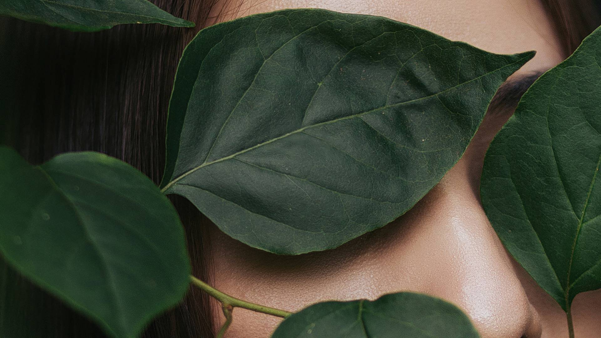 La fuerza del branding sensorial en las marcas, por La Agencia Cacao