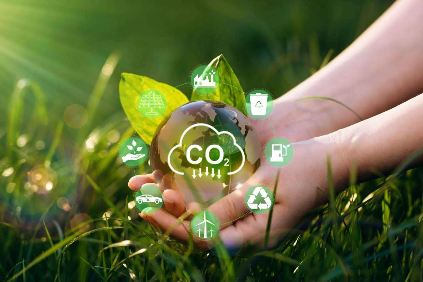 Soluciones innovadoras de ClimateTrade para que las empresas puedan compensar la huella de carbono