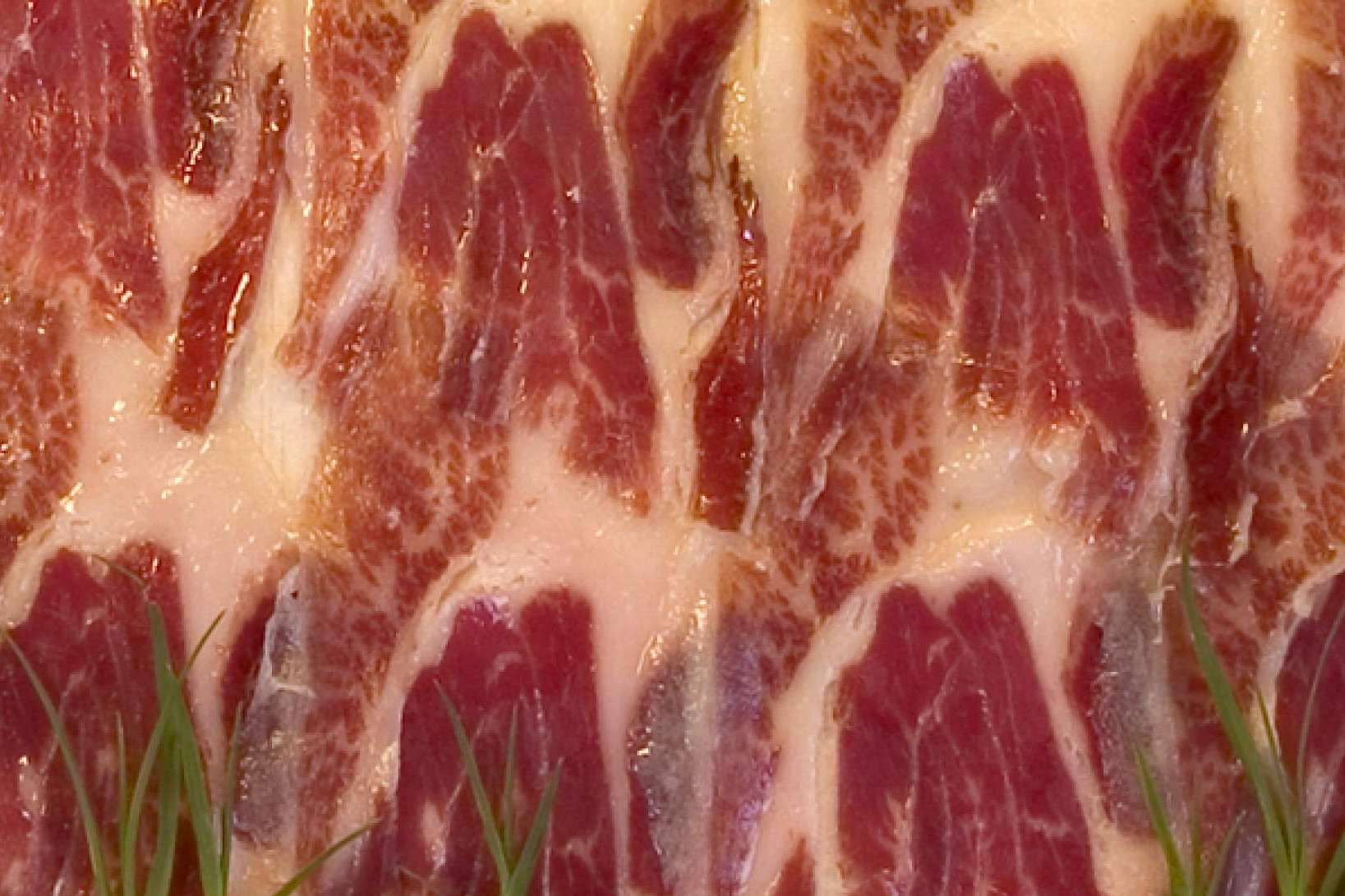 Acerca del cerdo ibérico de cebo de campo