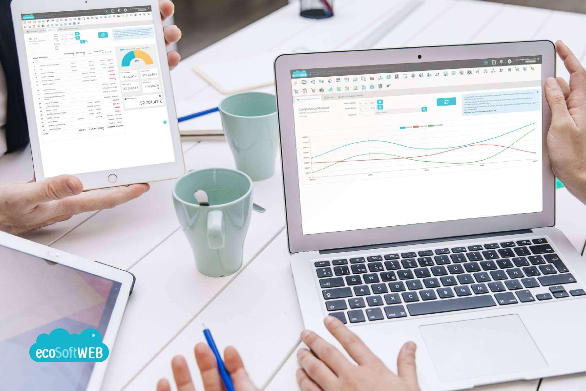 Tener una visión global de la progresión de una compañía en tiempo real con ecoSoft Consulting