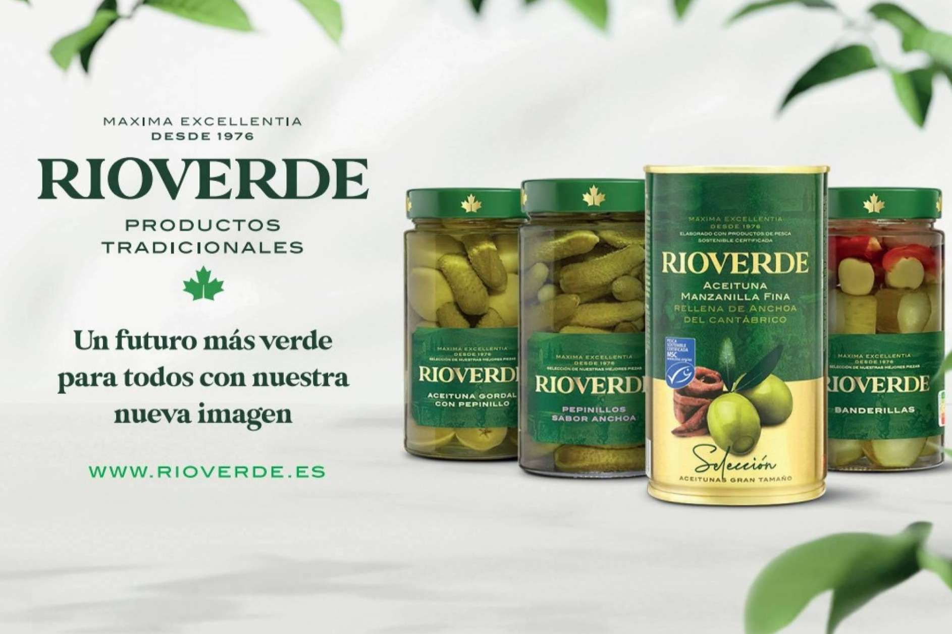 ¿Qué beneficios tiene el consumo de aceitunas con anchoas, pepinillos y remolacha?, por Rioverde