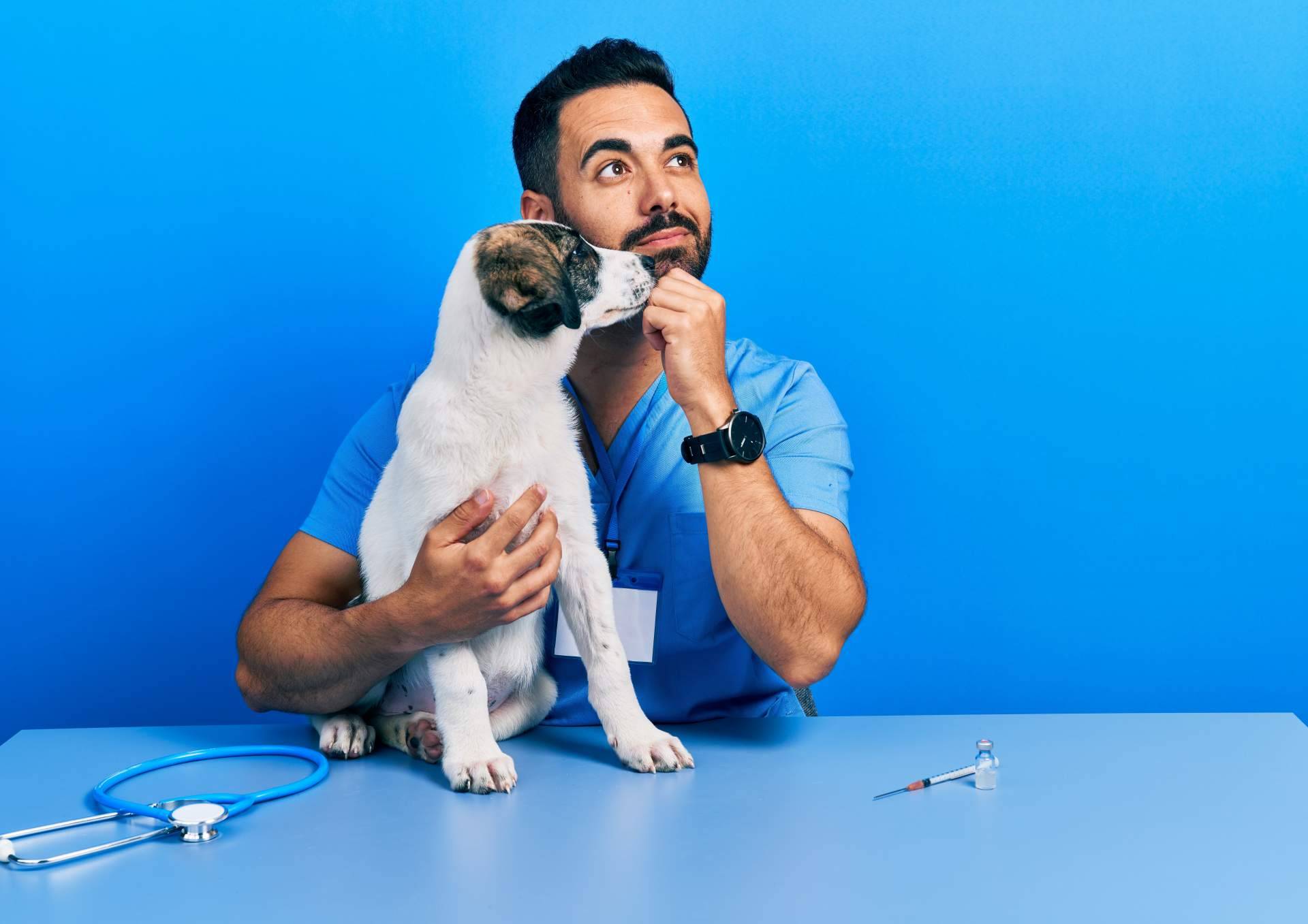 VetFormación y sus cursos auxiliar veterinaria