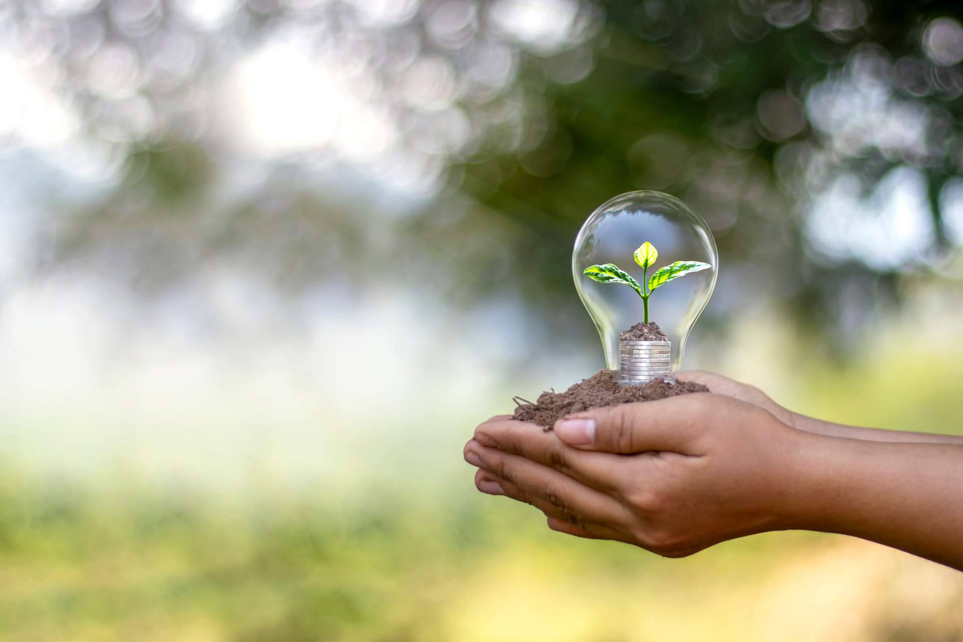 Ingeniería MASRED propone el bombeo solar aislado para piscinas de hoteles y complejos como forma de reducir el consumo energético durante el verano
