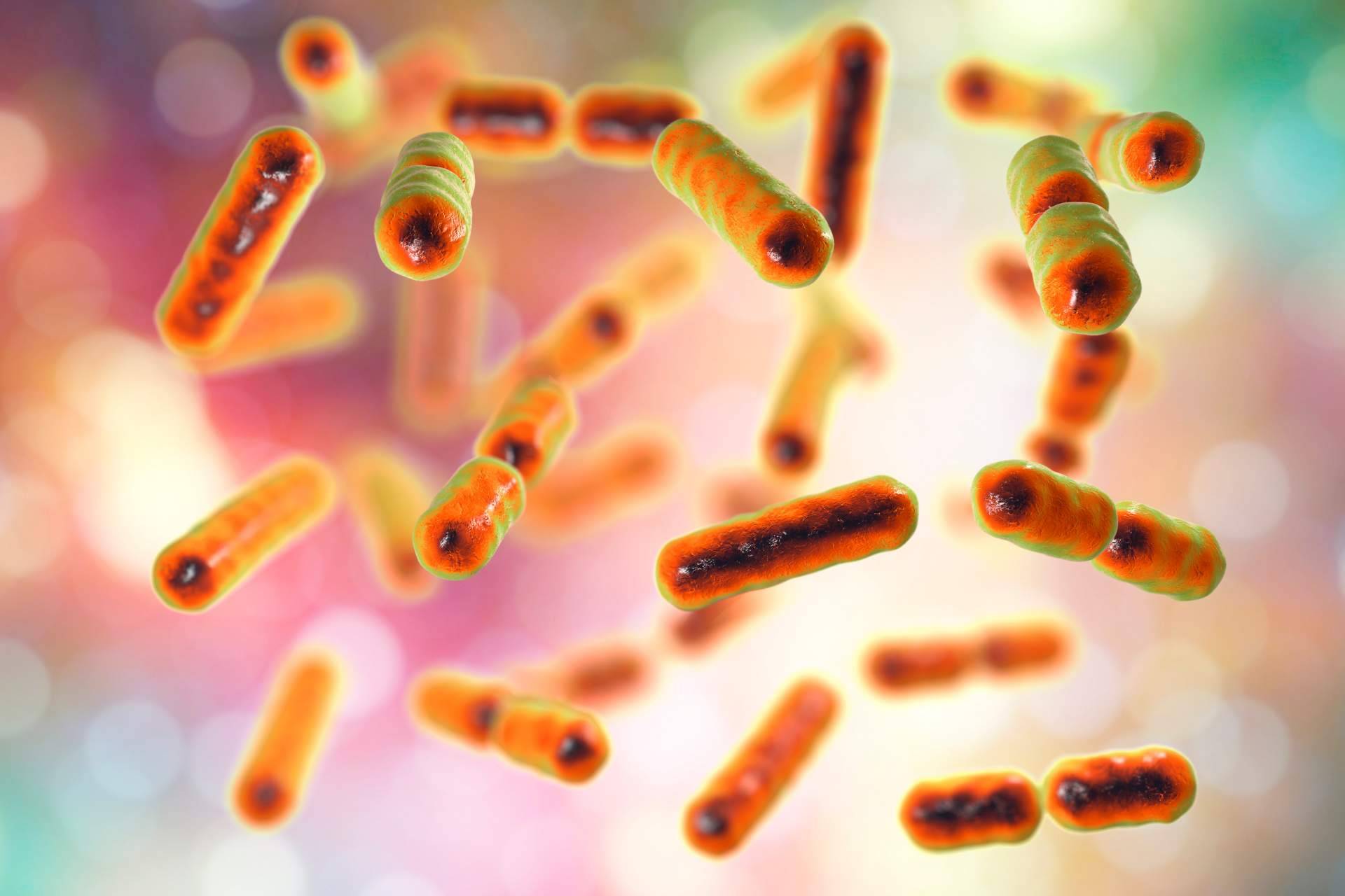 Dr Fernando Ruger Viarengo, un referente en el tratamiento de disbiosis y modulación de microbiota