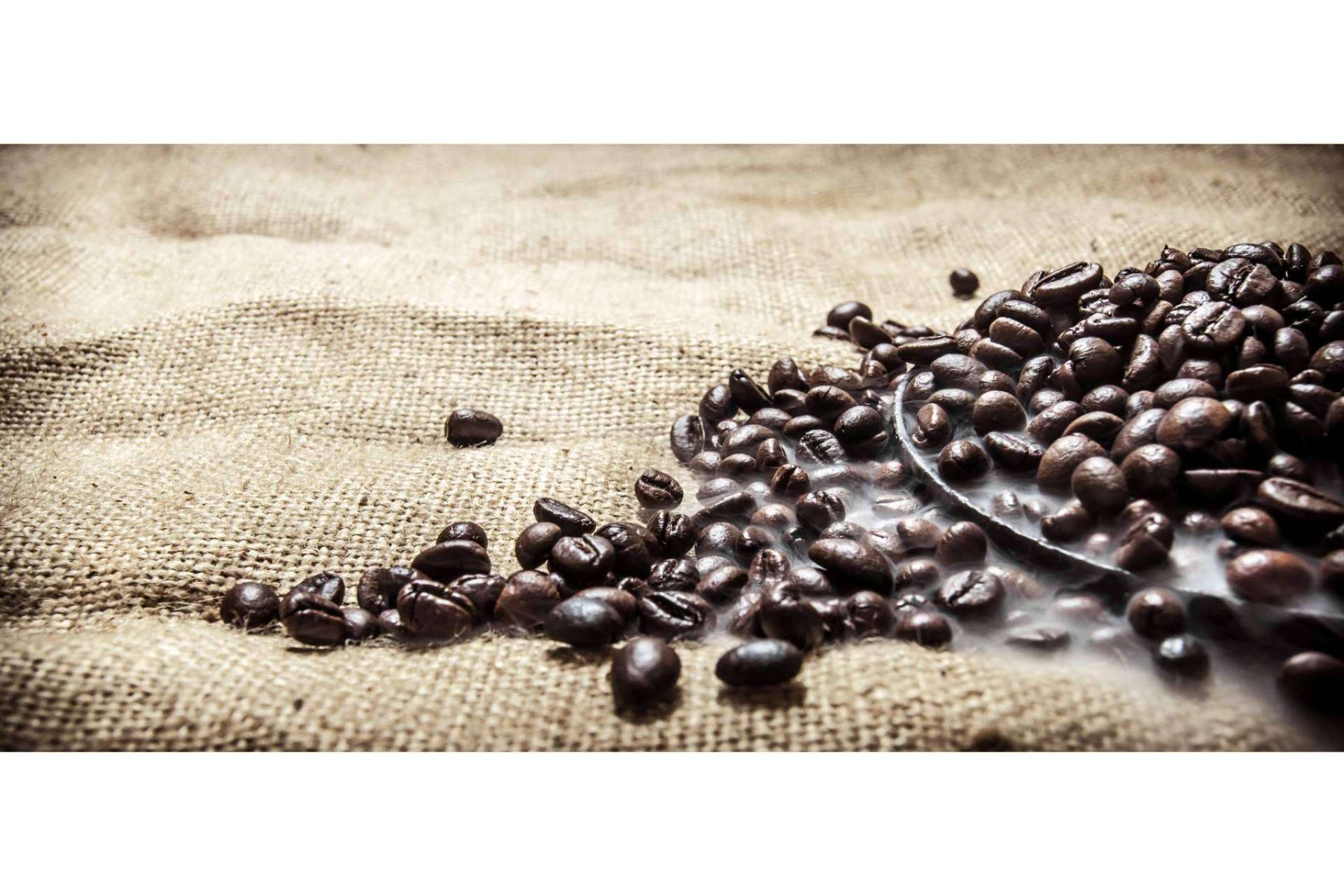 El nuevo café ecológico de alta intensidad de Orisens, Xtrong
