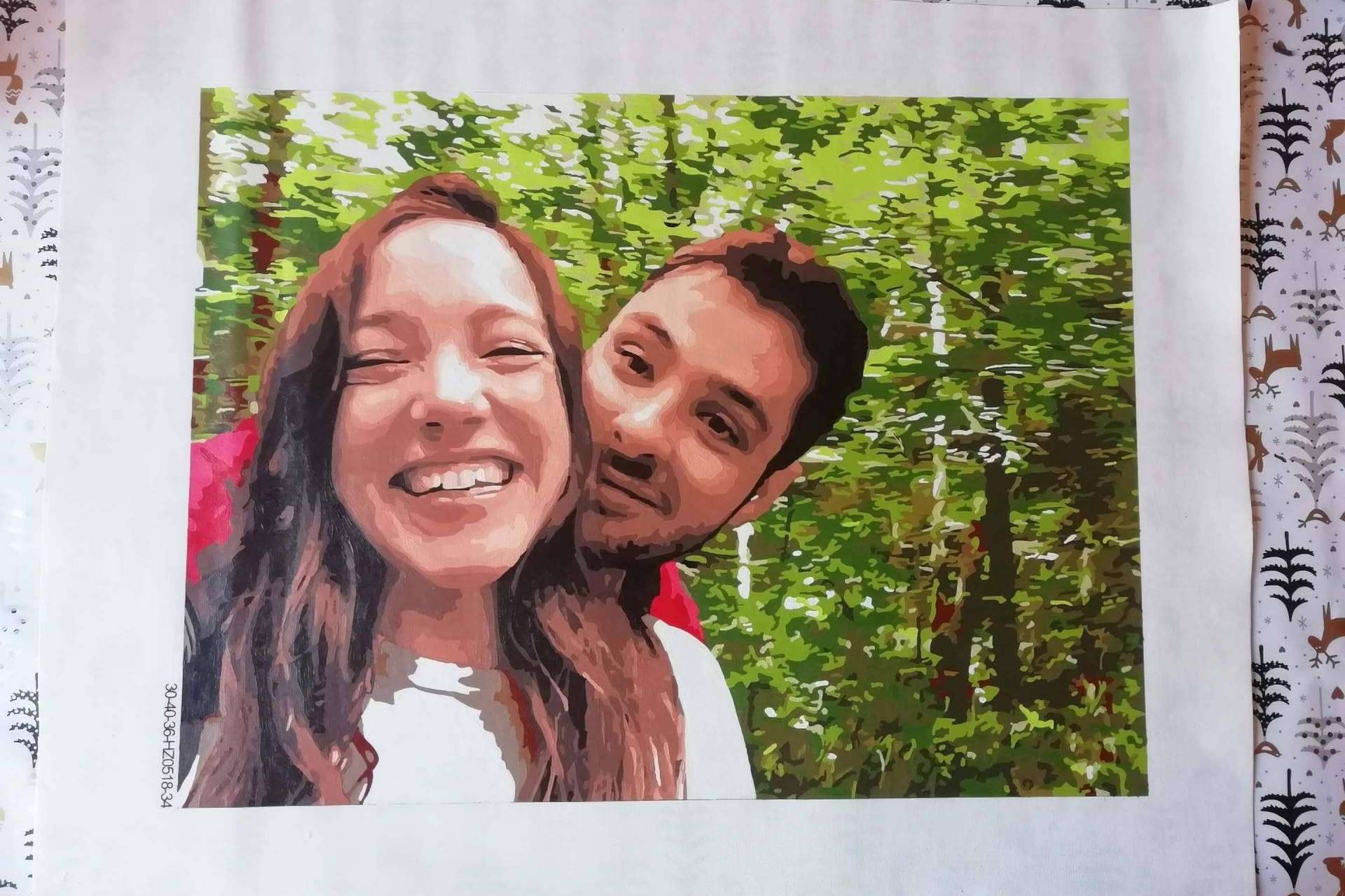 Cuadros personalizados para pintar por números con Canvas by Numbers