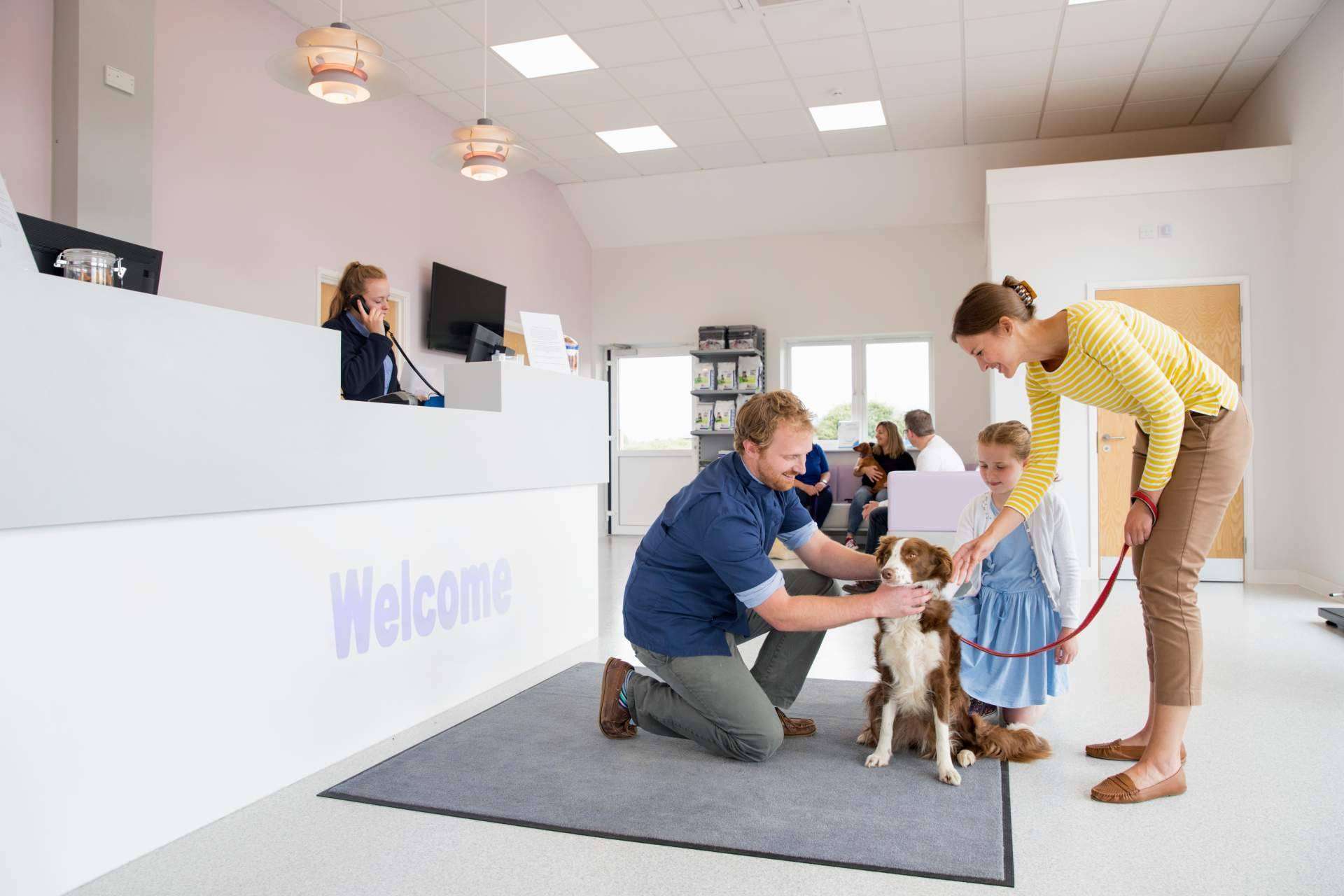 Barkibu presenta los seguros de mascotas para perros y gatos