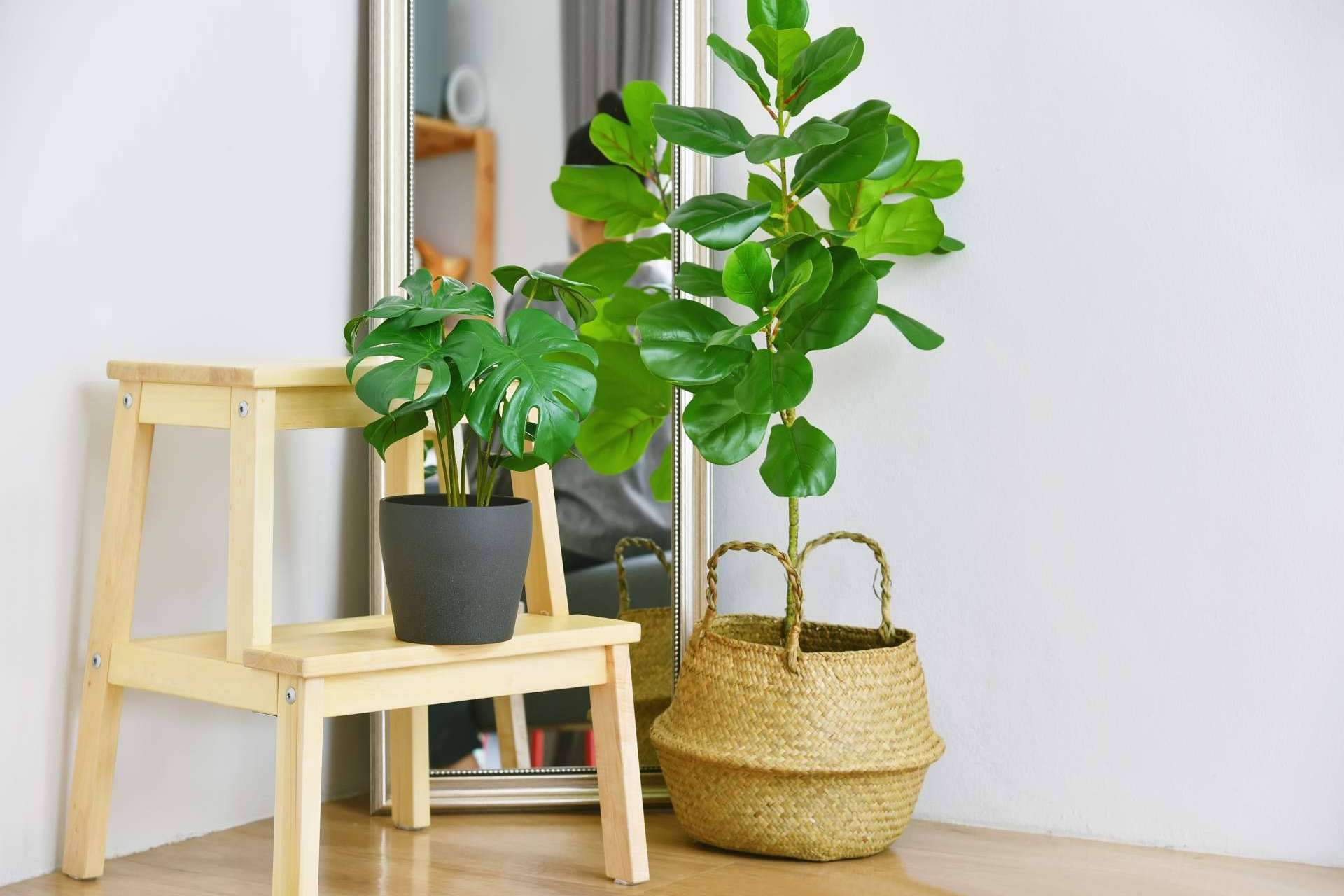 Consejos para combinar plantas artificiales para dar un toque especial a cualquier espacio