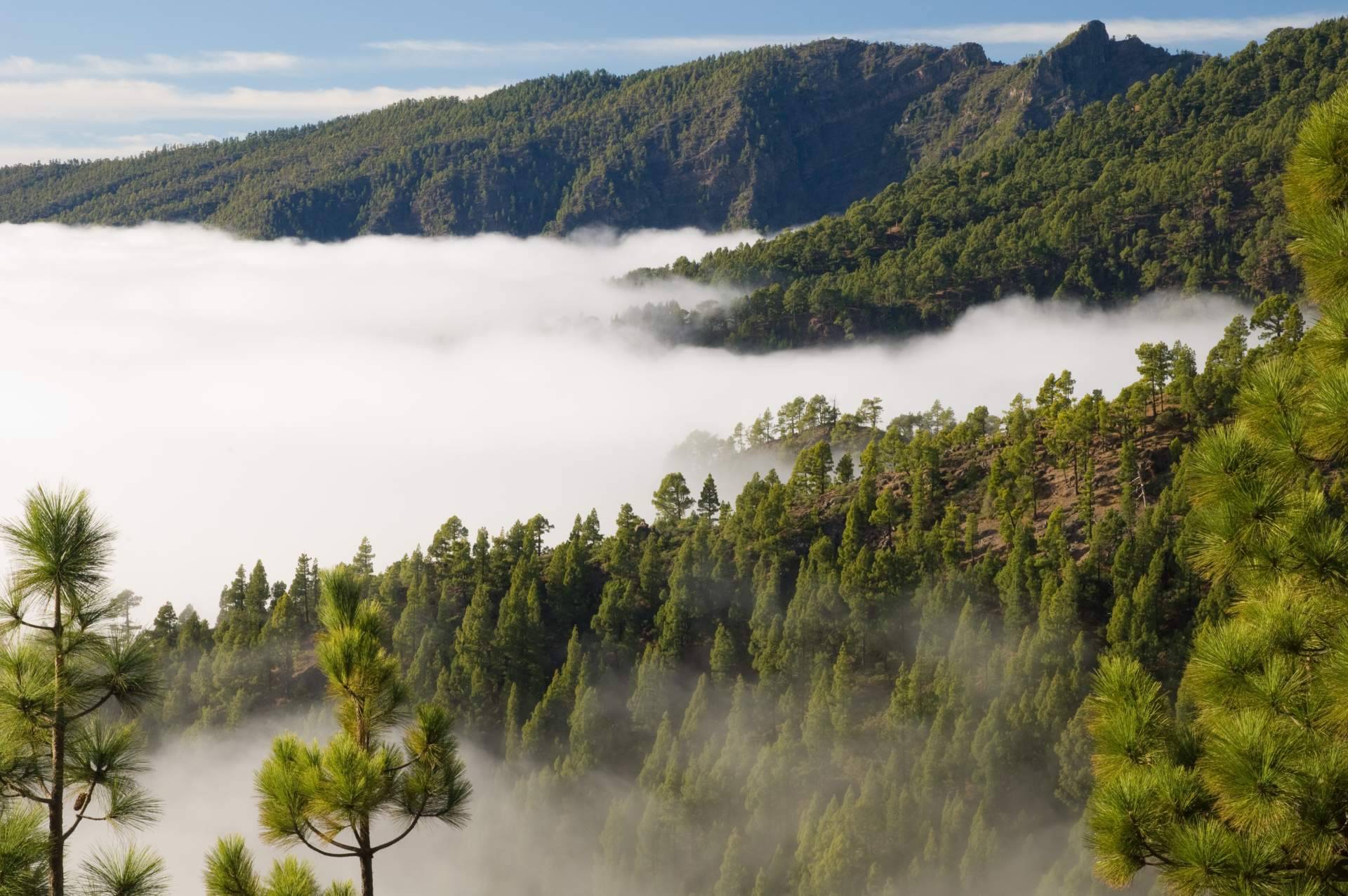 Planificar un viaje a Canarias con experiencias inolvidables de la mano de Canarias.com