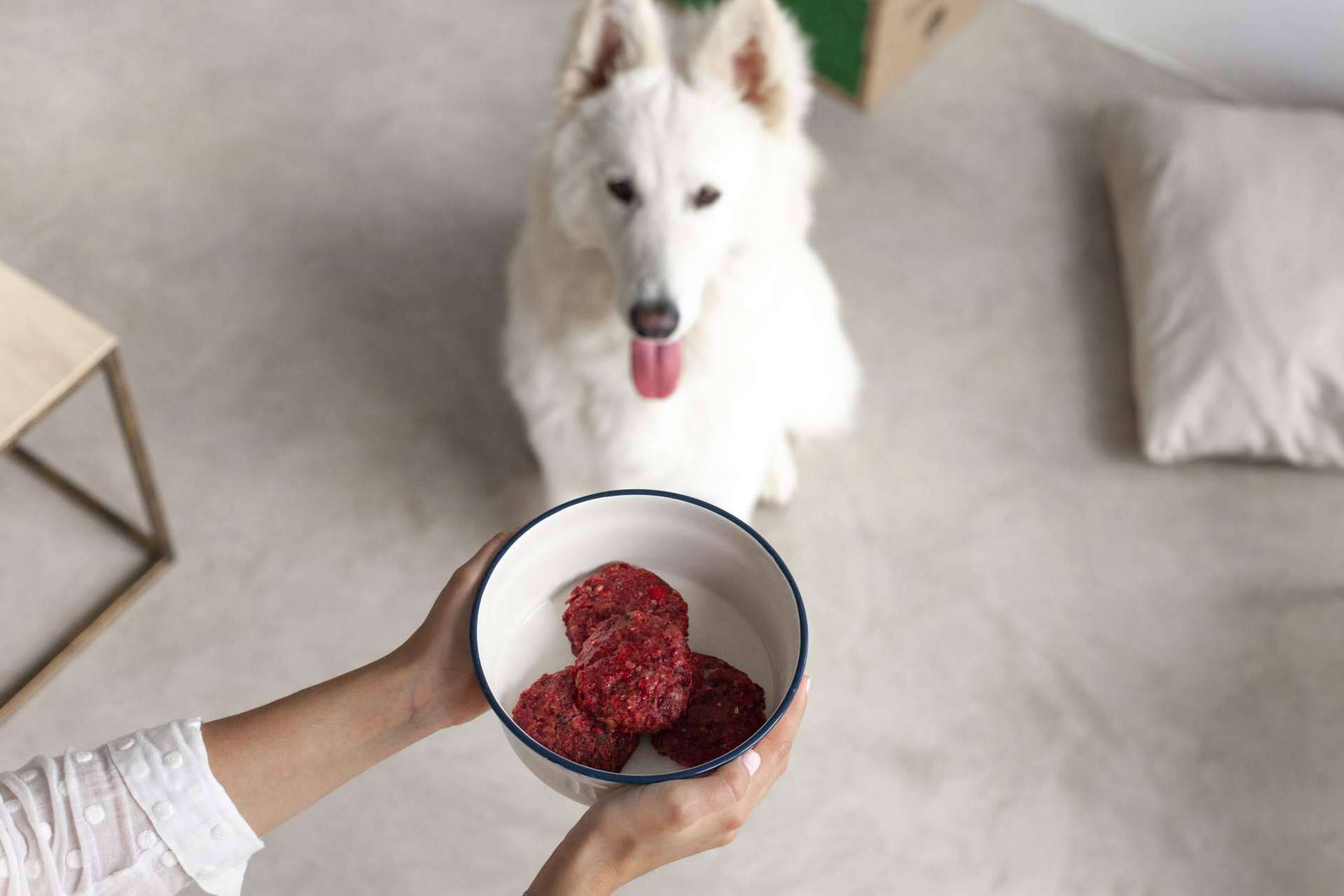 La startup española Wild Balance acaba de aterrizar en Dubái con su apuesta por la alimentación natural para mascotas