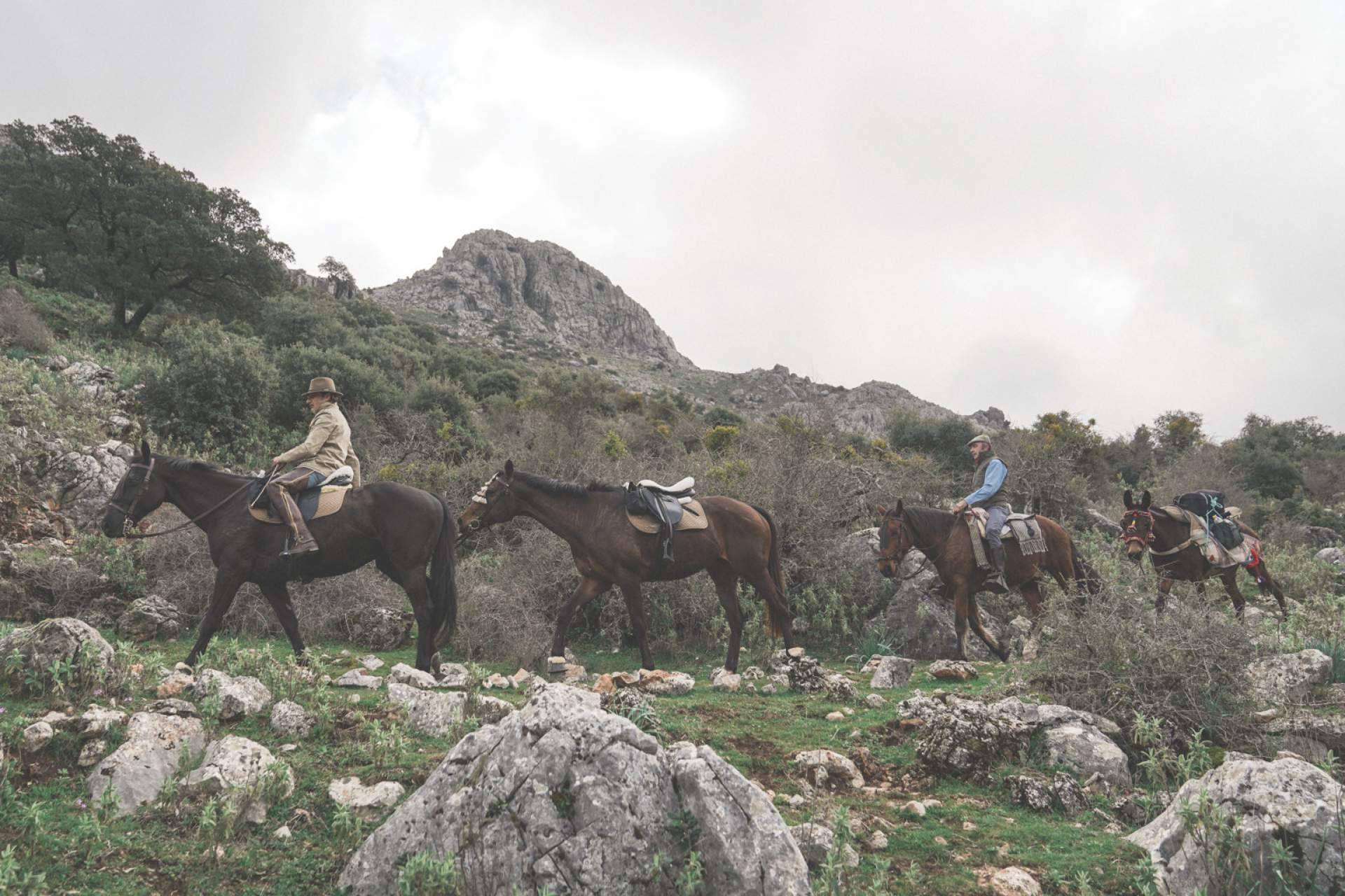 Los beneficios que ofrece hacer paseos en caballo, con Maktub Bohemian Rides