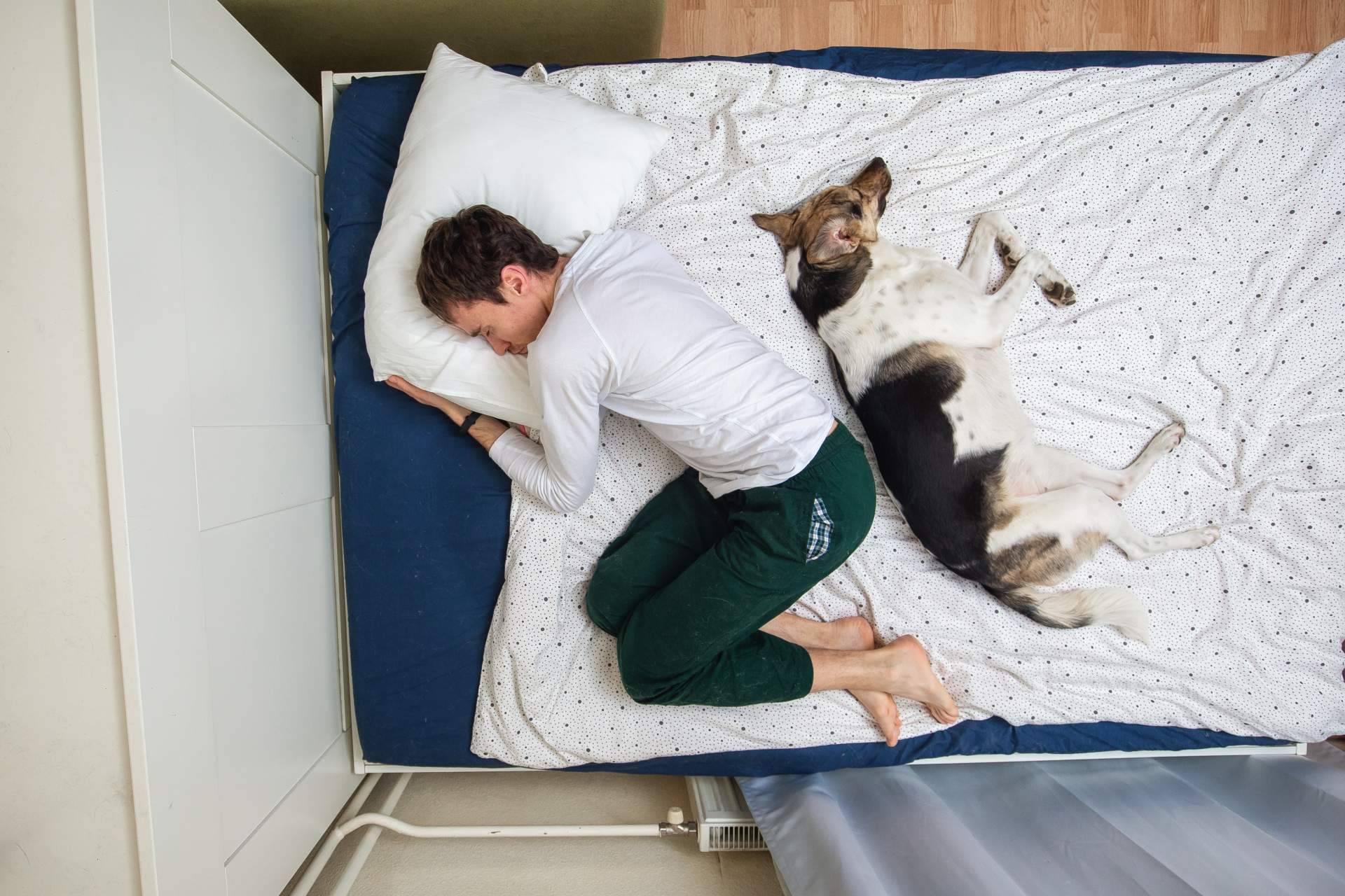 ¿Cuáles son los puntos principales de la nueva ley de protección animal?, con Miwuki Pet Shelter