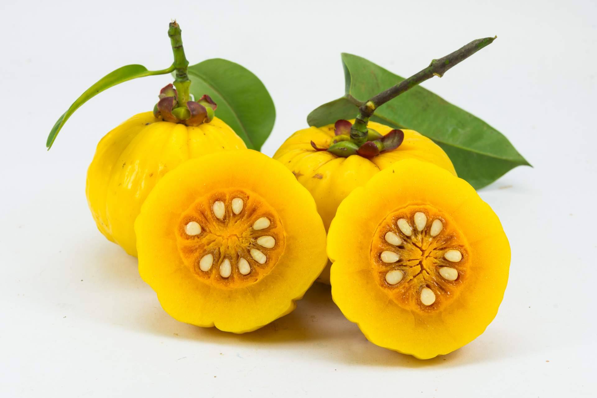 Los beneficios de la Garcinia Cambogia, por La Parafarmacia del Puerto