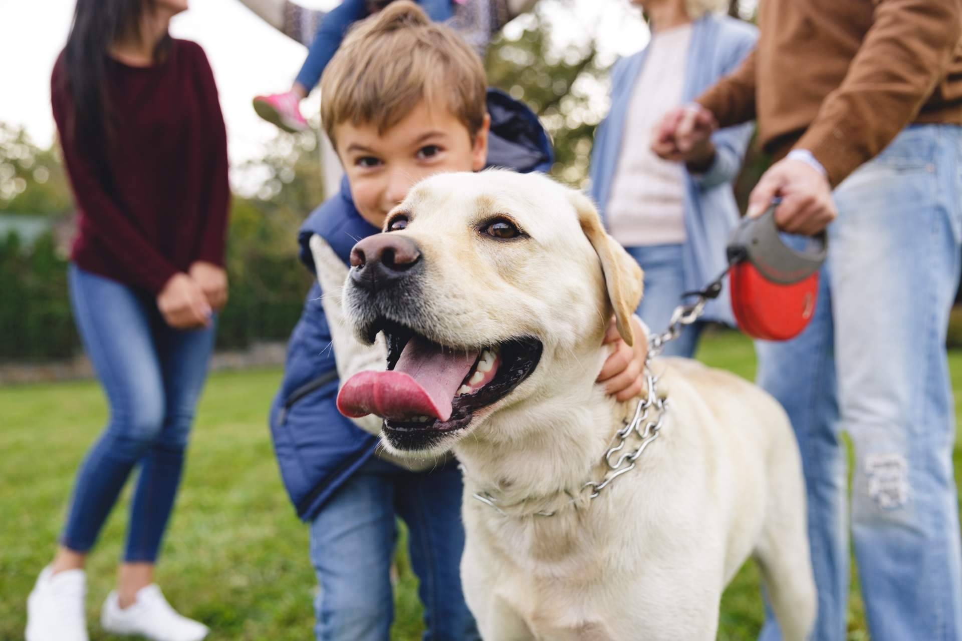 Evitar facturas inesperadas en la visita al veterinario con el seguro veterinario de Barkibu