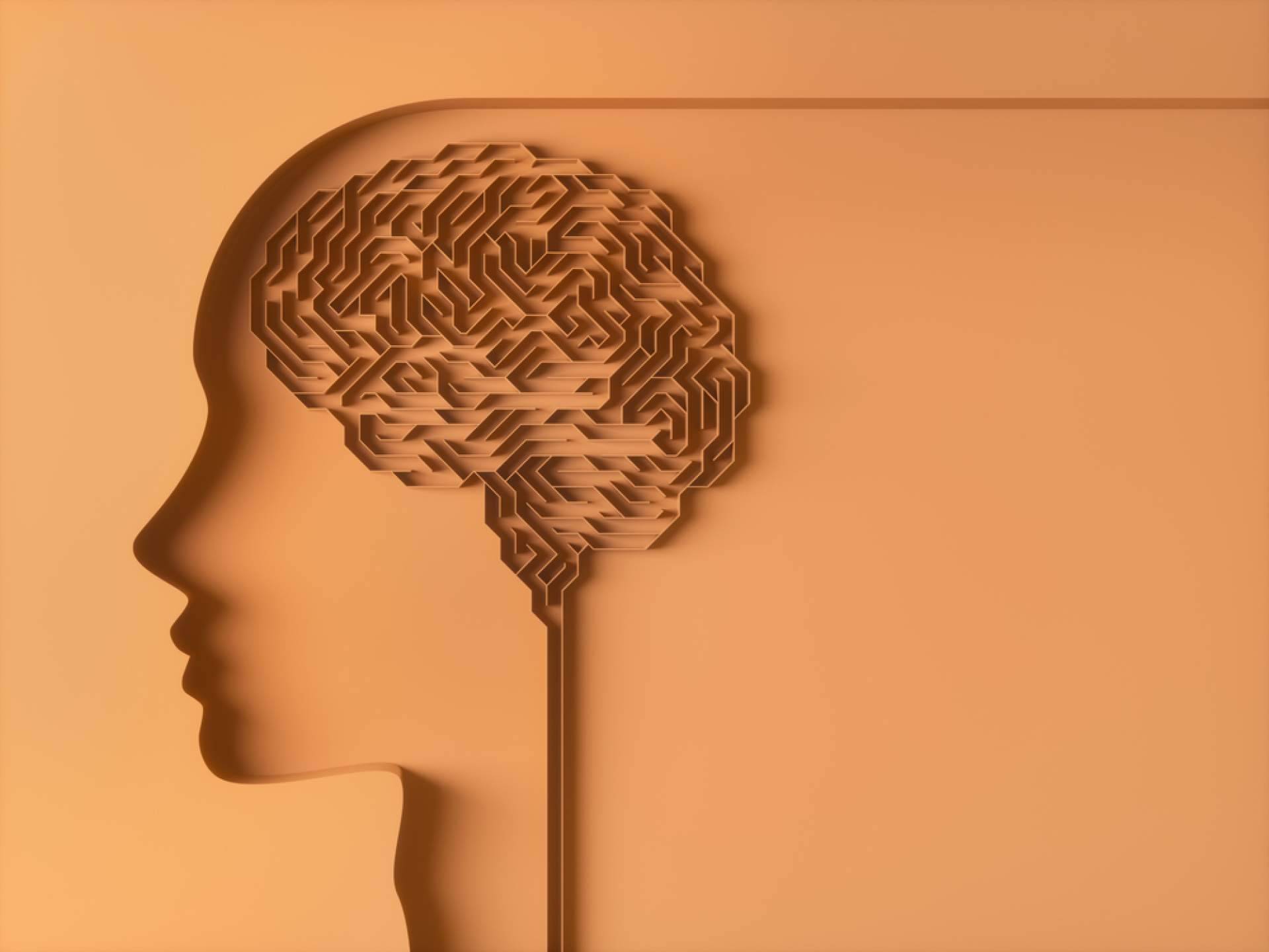 INIMA Rehabilitación enseña por qué es importante la estimulación cognitiva