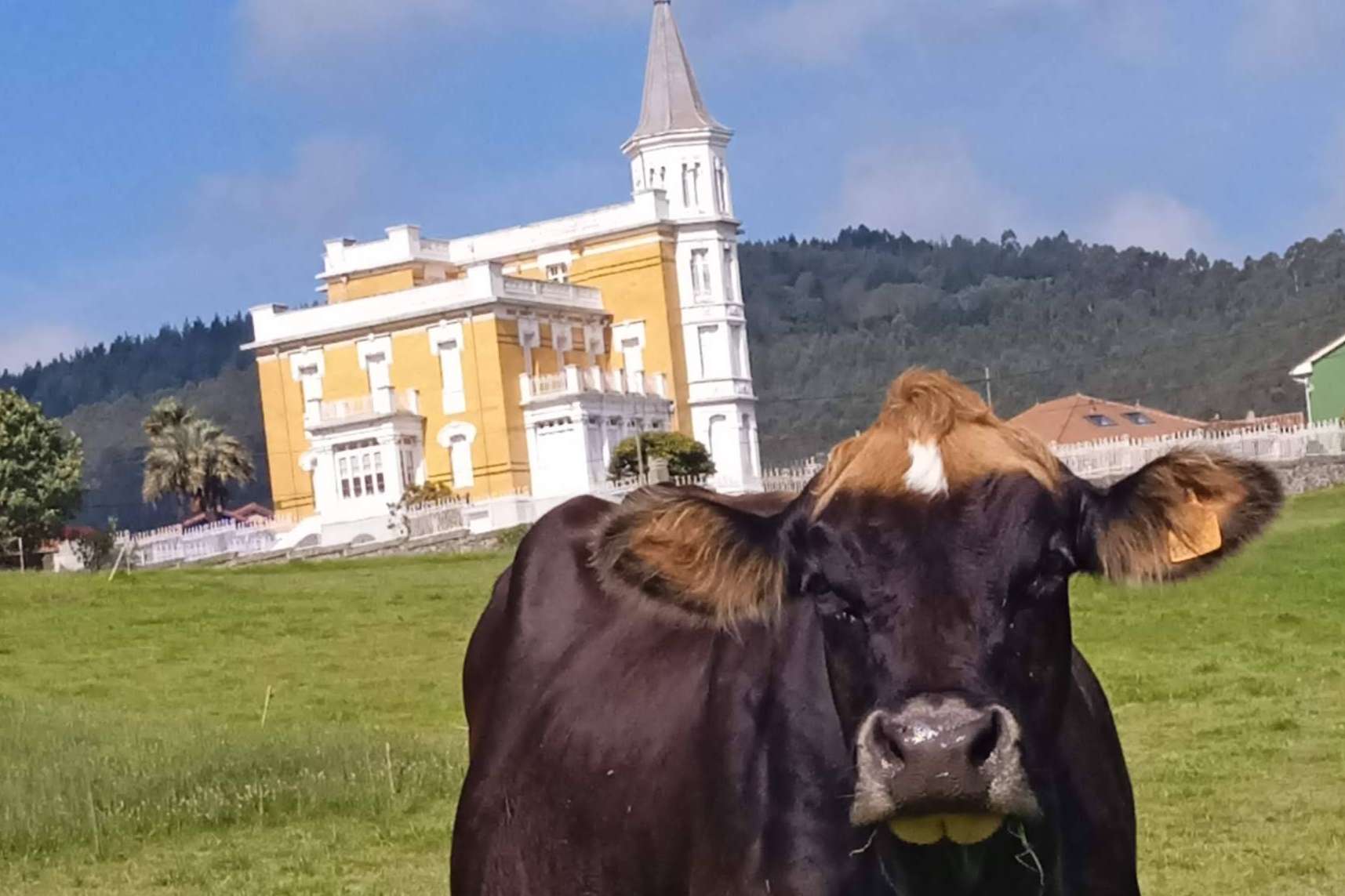 Vacaciones en un espacio privilegiado rodeado de naturaleza, con el Hotel Rural MonteSomao