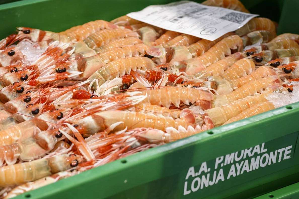 Lonja de Ayamonte aporta consejos de conservación de Marisco de Huelva