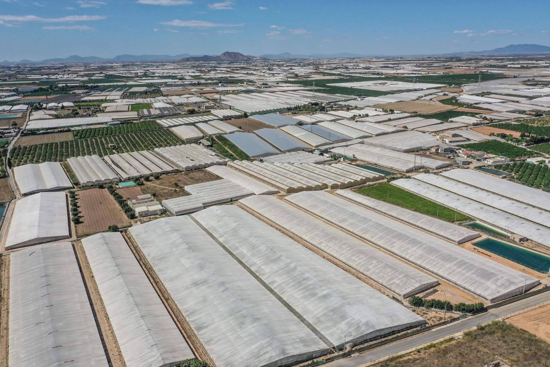 La llegada de conflictos por la falta de agua
