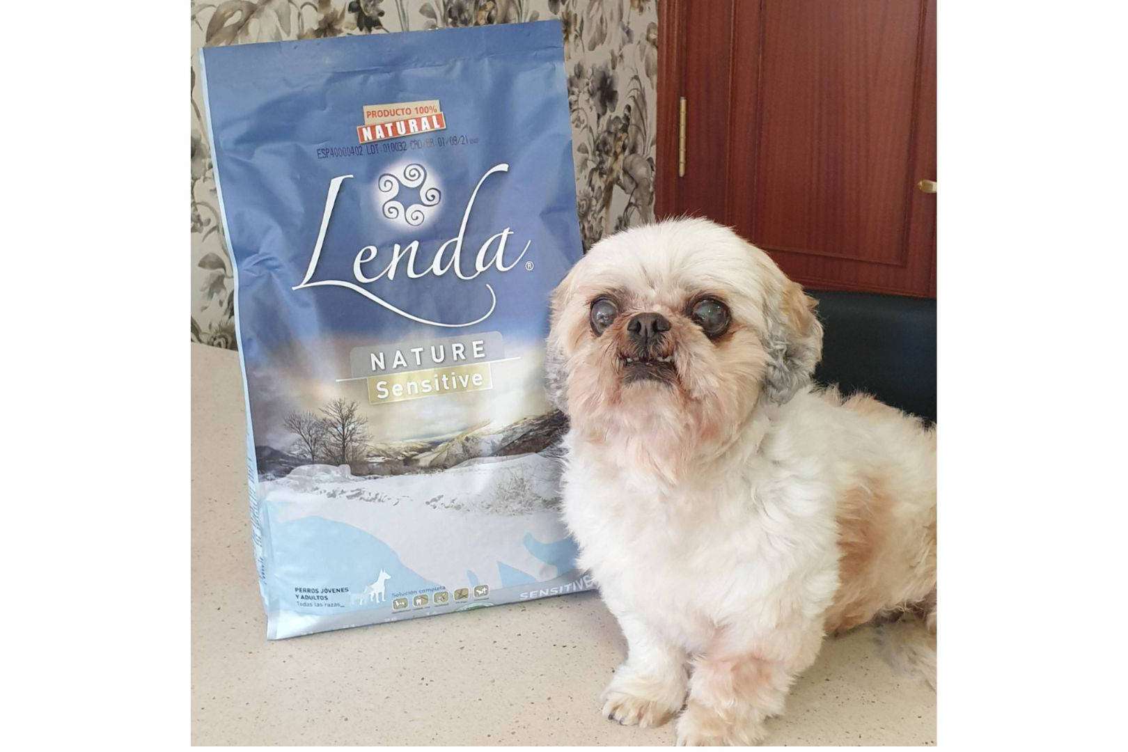 Comida con ingredientes 100 % naturales para perros con Lenda