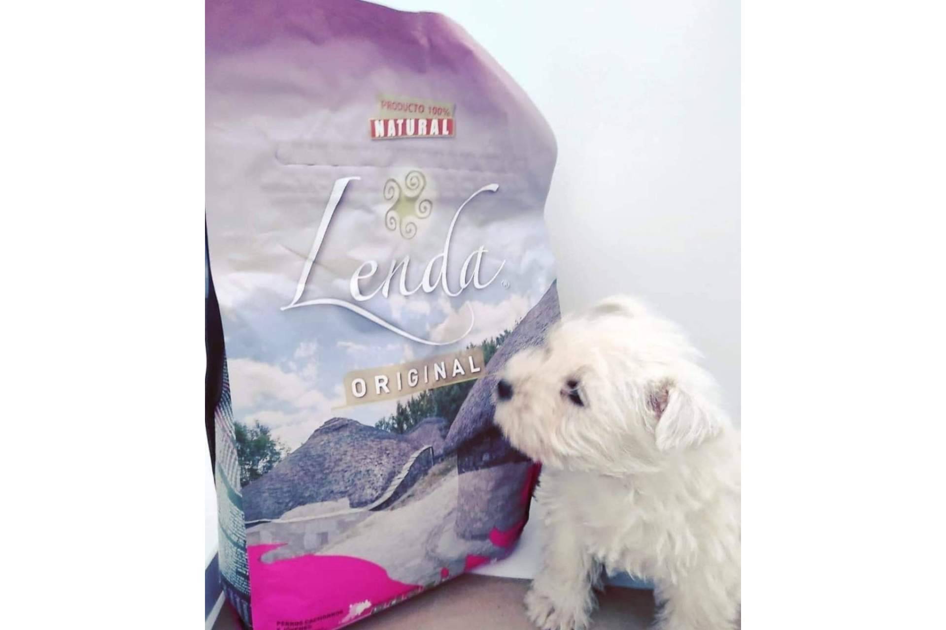 Lenda contribuye a la correcta alimentación de los cachorros