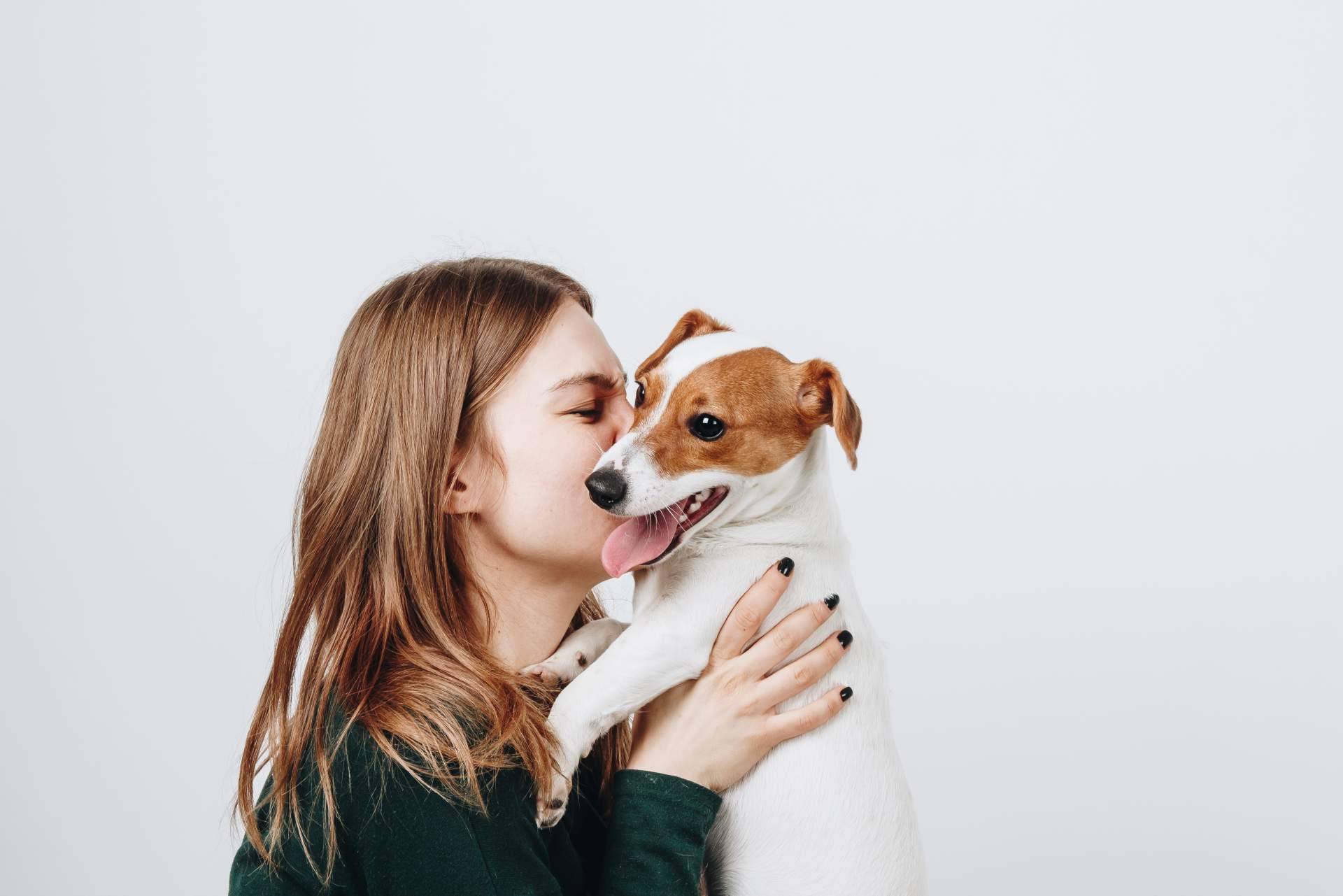 Aboganimal se encarga en los procesos de familia de la mediación animal