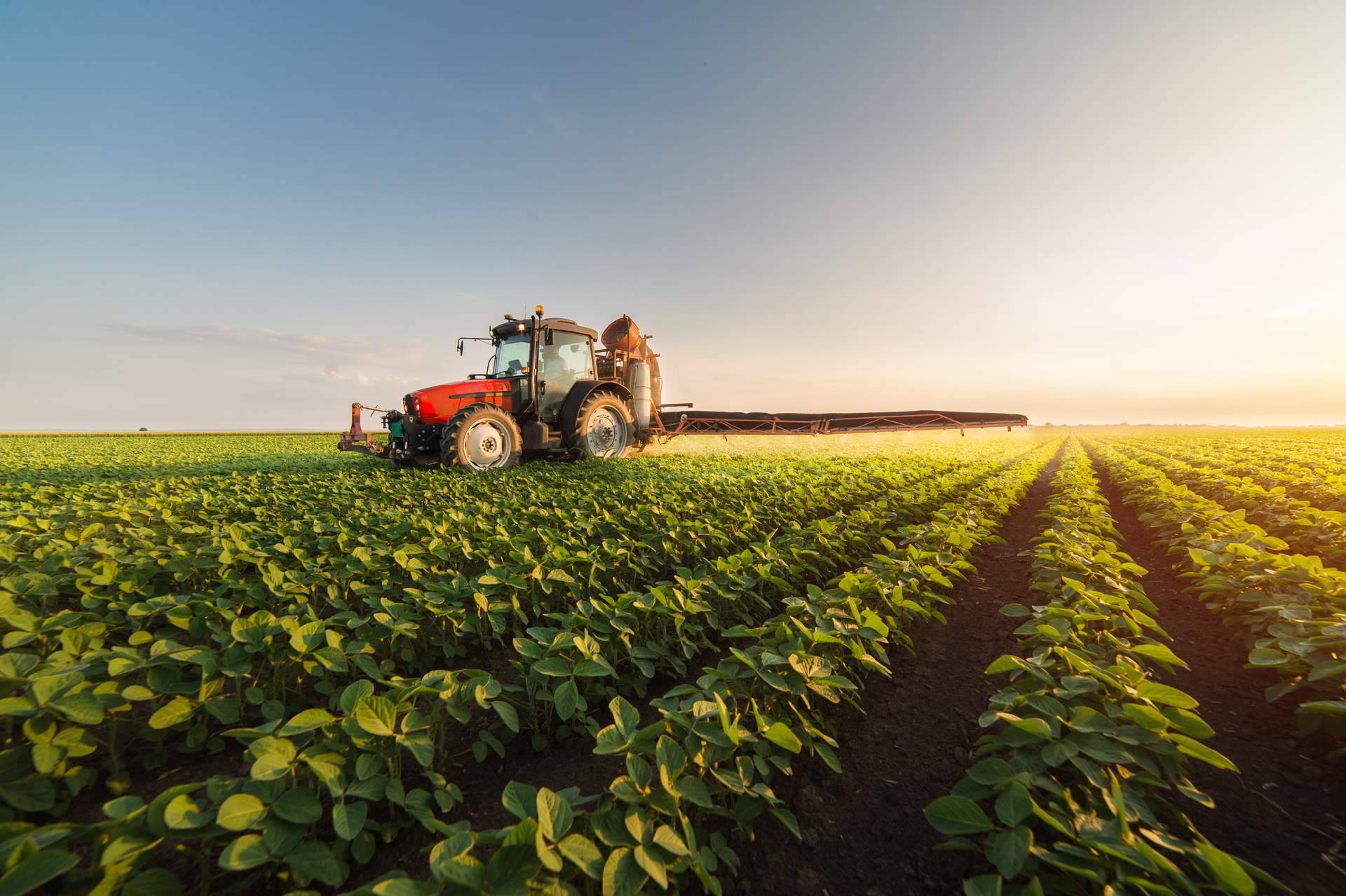 Búsqueda de la eficiencia en las explotaciones agropecuarias; la economía colaborativa es una solución