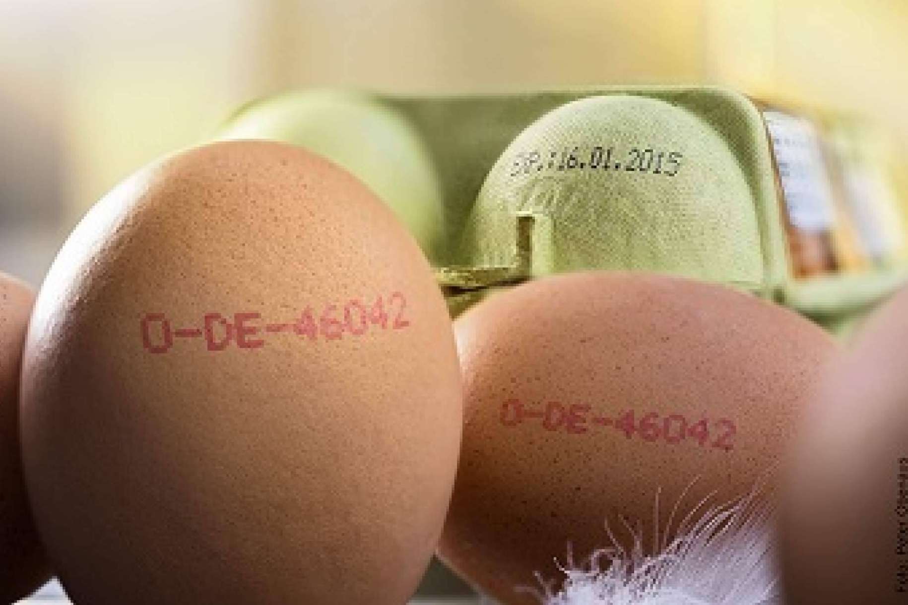 La gran importancia de la trazabilidad ante una alerta alimentaria