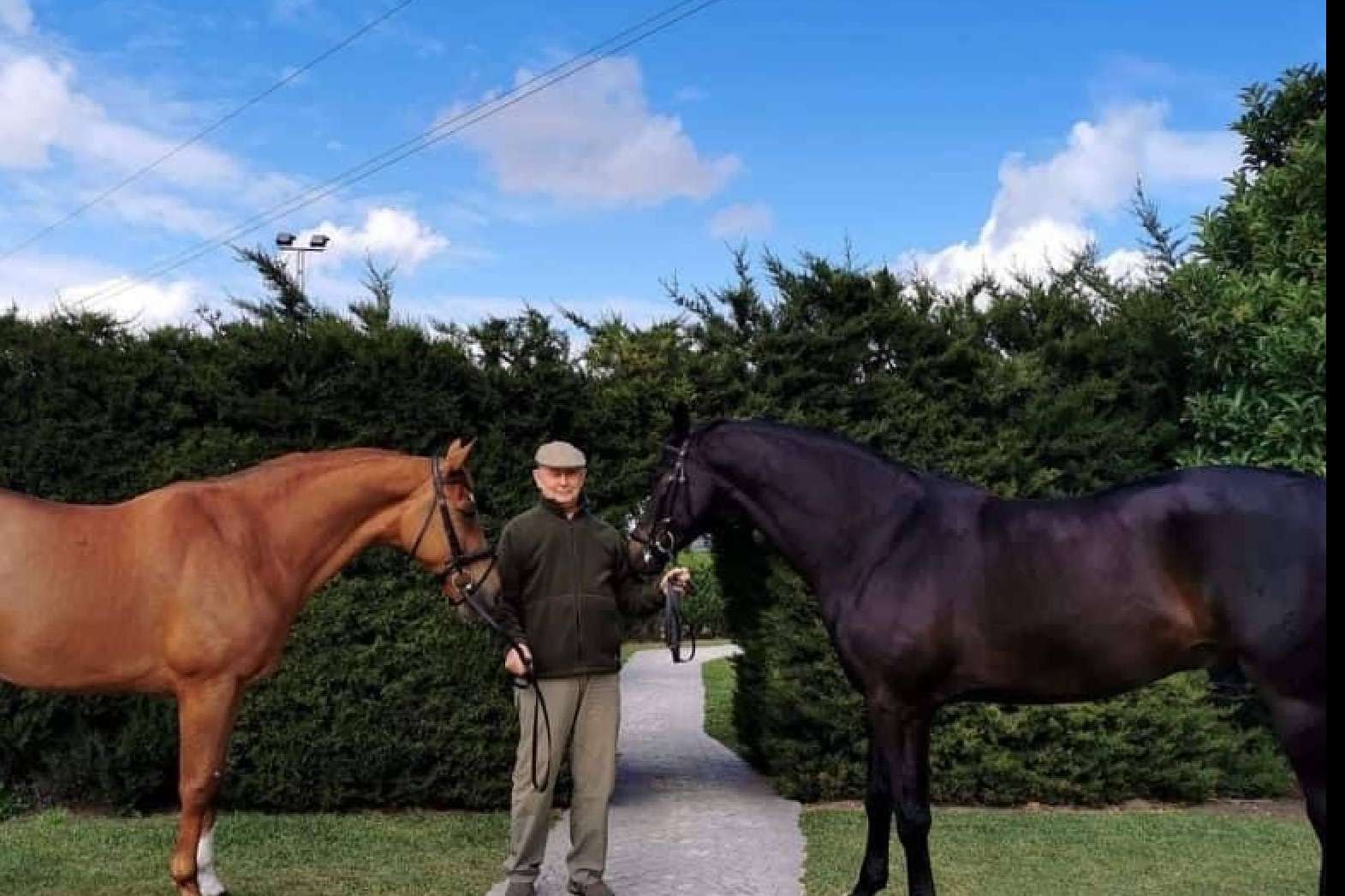 Yeguada Encinasola es el centro en el que es posible cuidar de la salud tanto de jinetes como de caballos