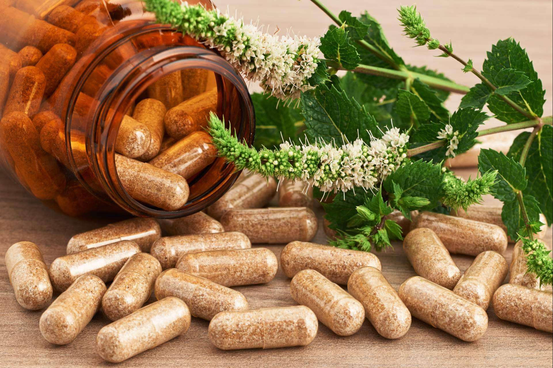 Obtener suplementos naturales para reforzar el sistema inmunológico mediante los productos de Biopharmacia