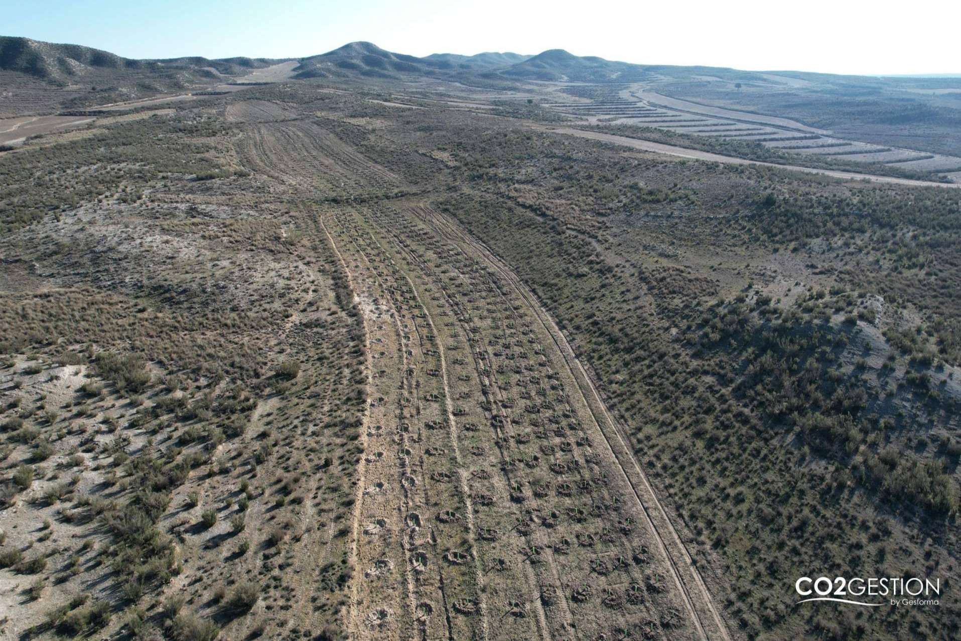 Un nuevo bosque en Zaragoza plantado por ICT Ibérica y Fundación Alcoraz