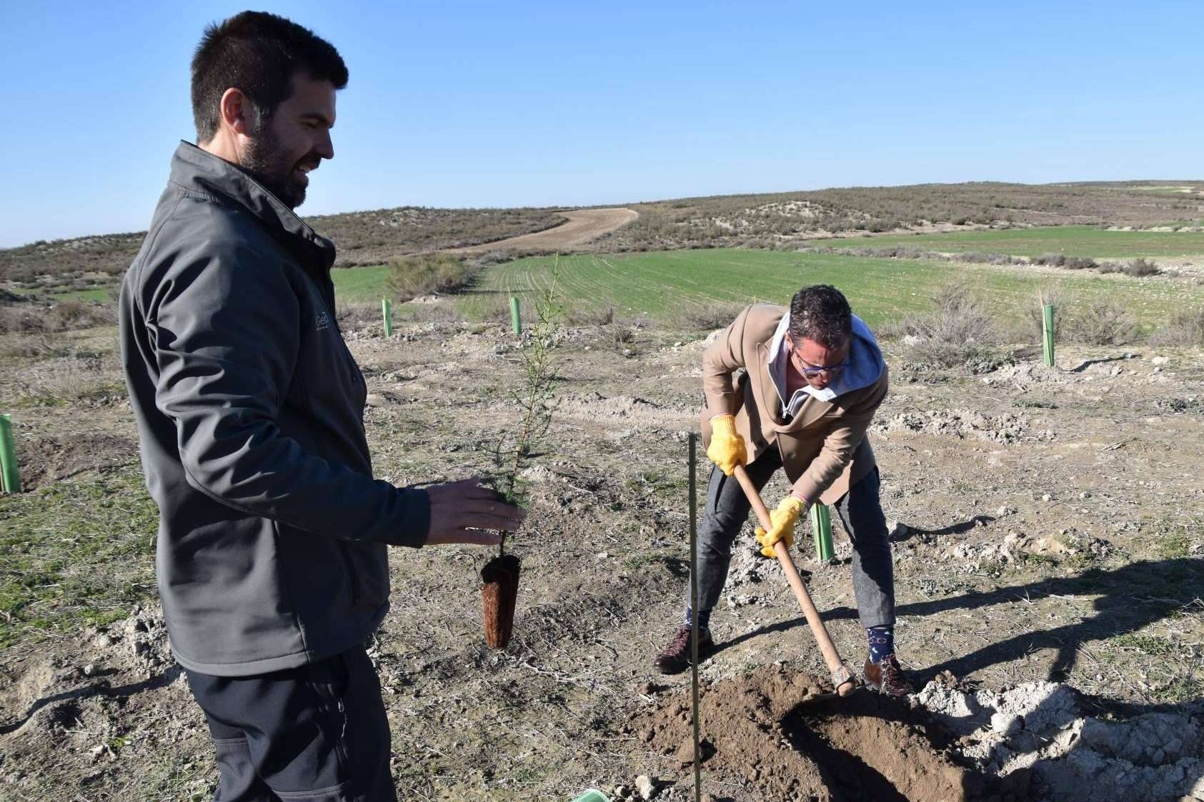 Las grandes marcas combaten el cambio climático y son referentes nacionales en la creación de bosques sostenibles