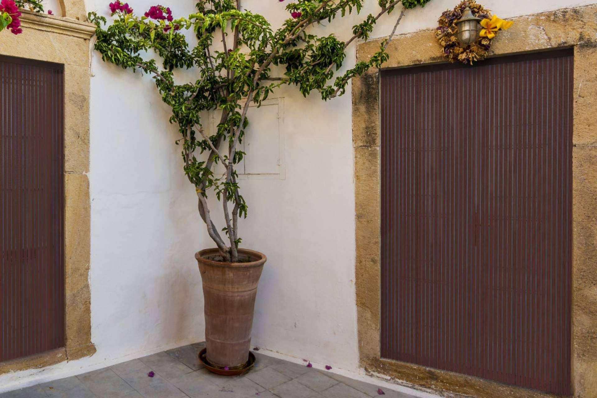 Las cortinas antimoscas son una solución decorativa y económica que ofrece Mosquiteras Baratas para impedir la entrada de insectos