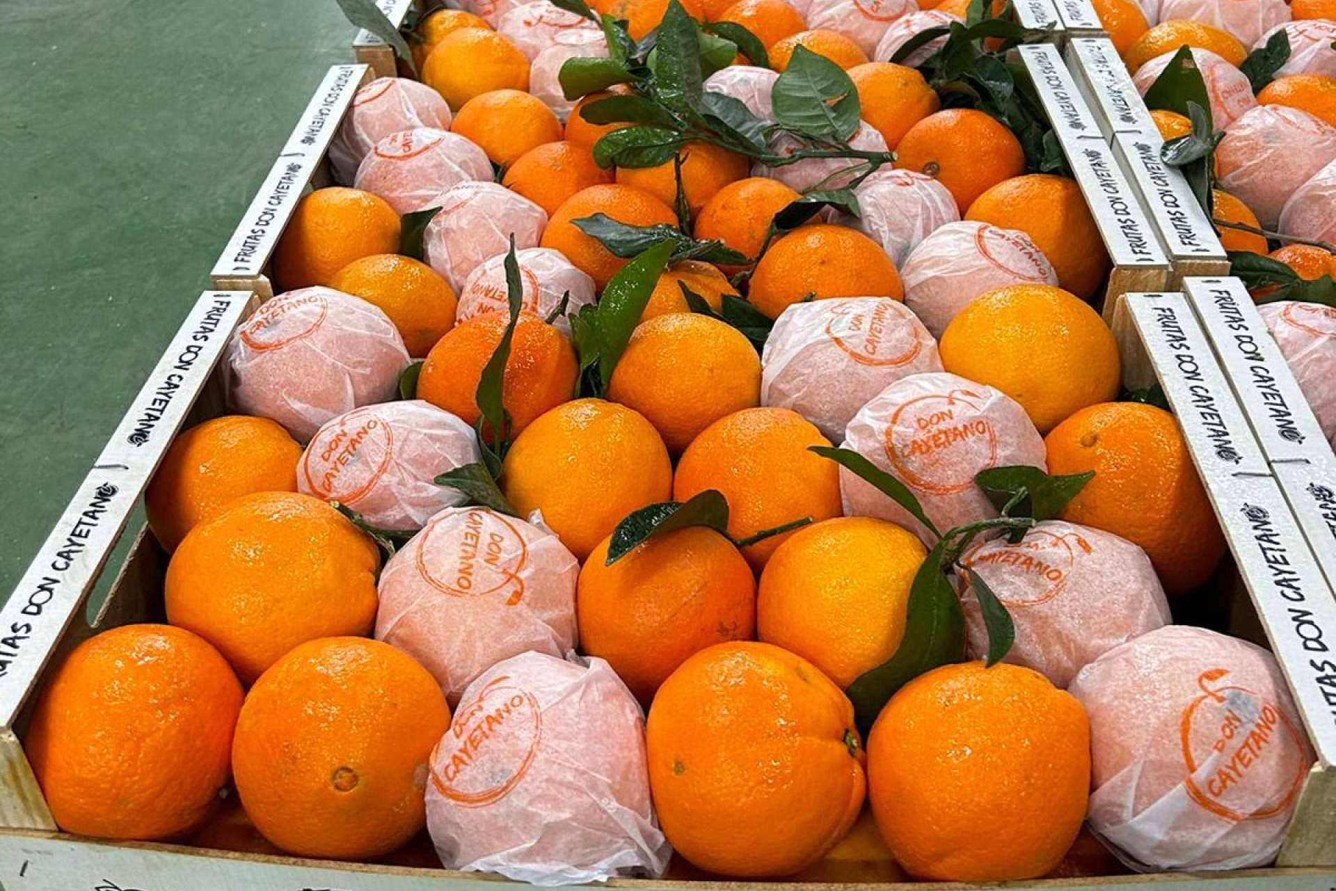 Frutas Don Cayetano, la empresa especializada en la exportación de frutas de hueso y cítricos