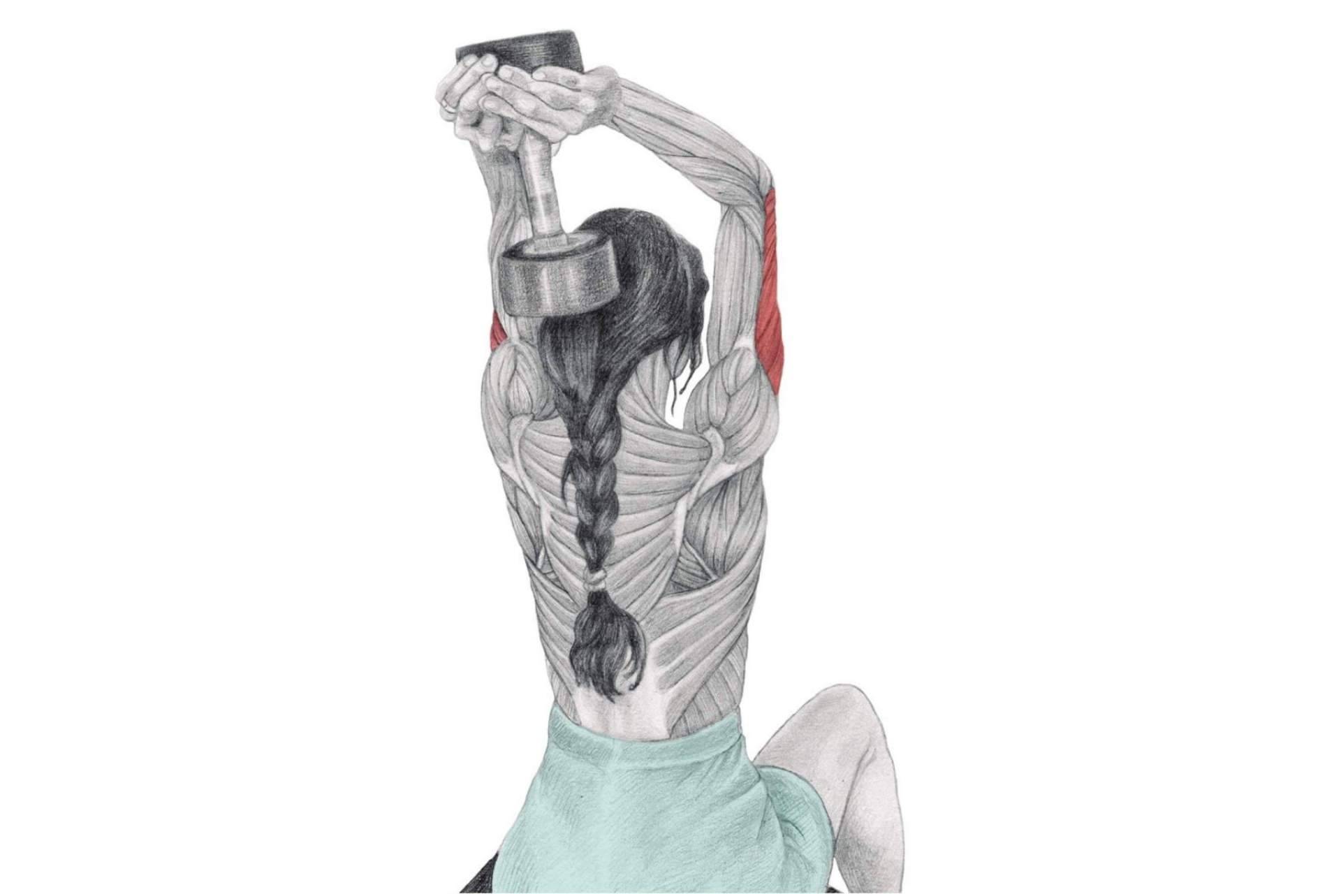 La enciclopedia de musculación de Óscar Morán se convierte en un referente a nivel mundial