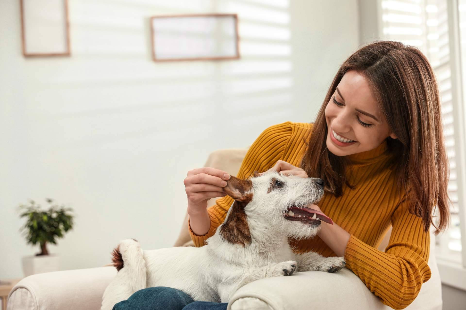 6 becas de 7.500 € para emprender un negocio propio, con 'Bécate', de El Perro Feliz