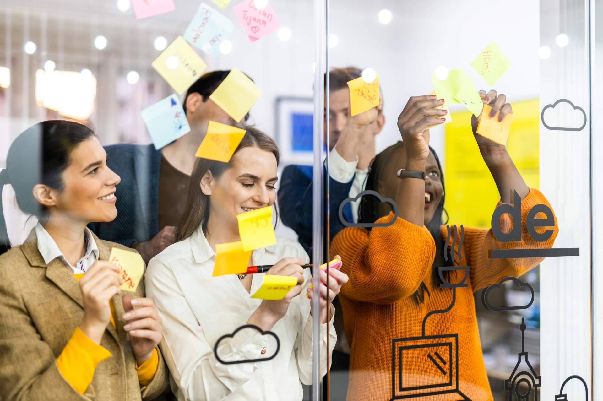 Puraenvidia y sus estrategias de marketing diseñadas para startups