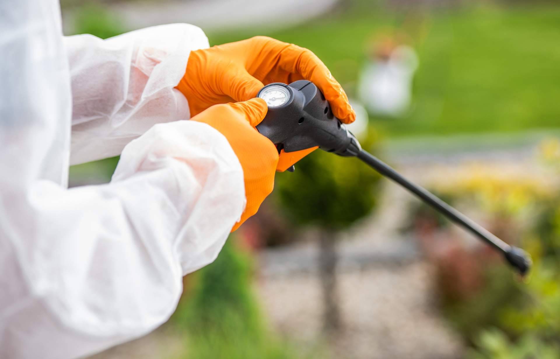 Encontrar trampas e insecticidas para avispas en Productos Antiplagas