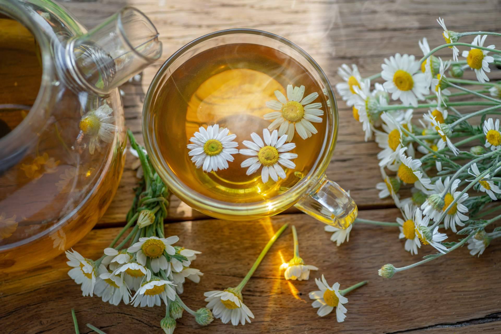 Cuidarse por dentro y por fuera con los productos de nutricosmética de Theriac Wellness