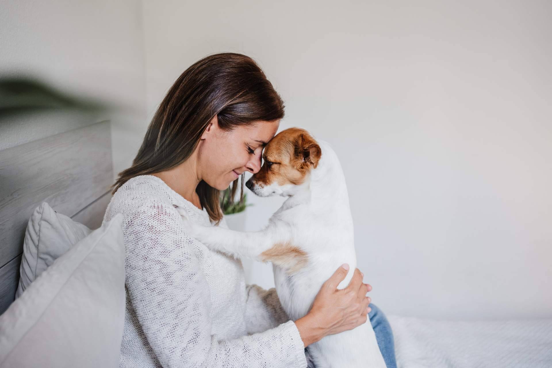 La sonoterapia en animales de compañía y sus beneficios, por El Perro Feliz