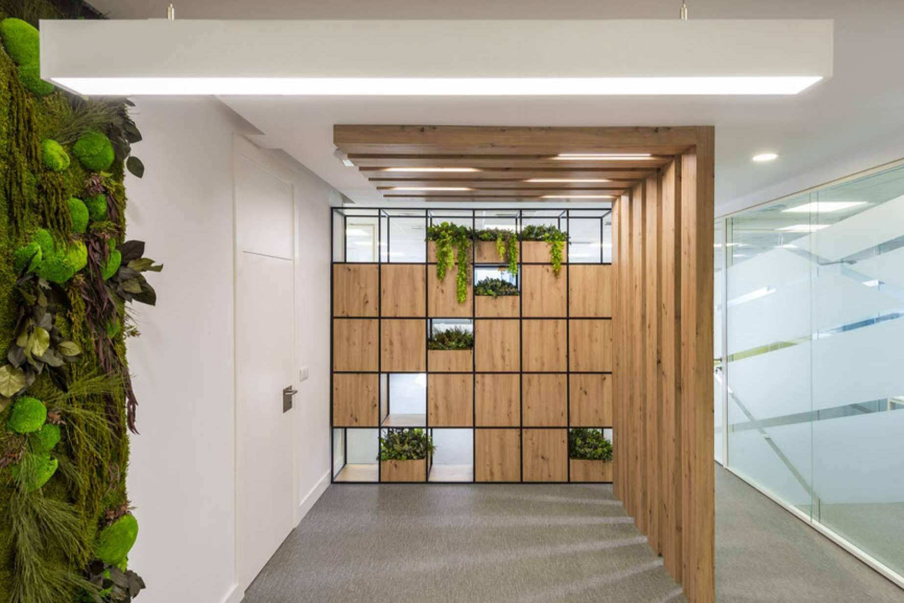 Construcción y reforma de oficinas siguiendo el diseño biofílico, la apuesta de Chavsa
