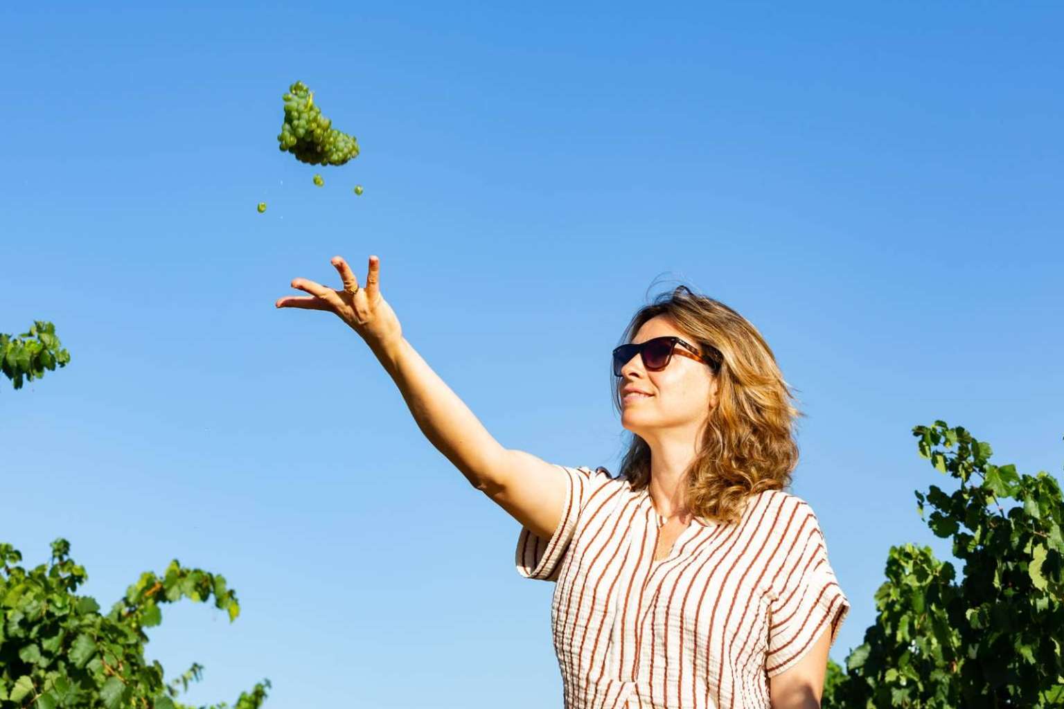 El Lagar de Moha, una bodega familiar que ofrece vinos ecológicos