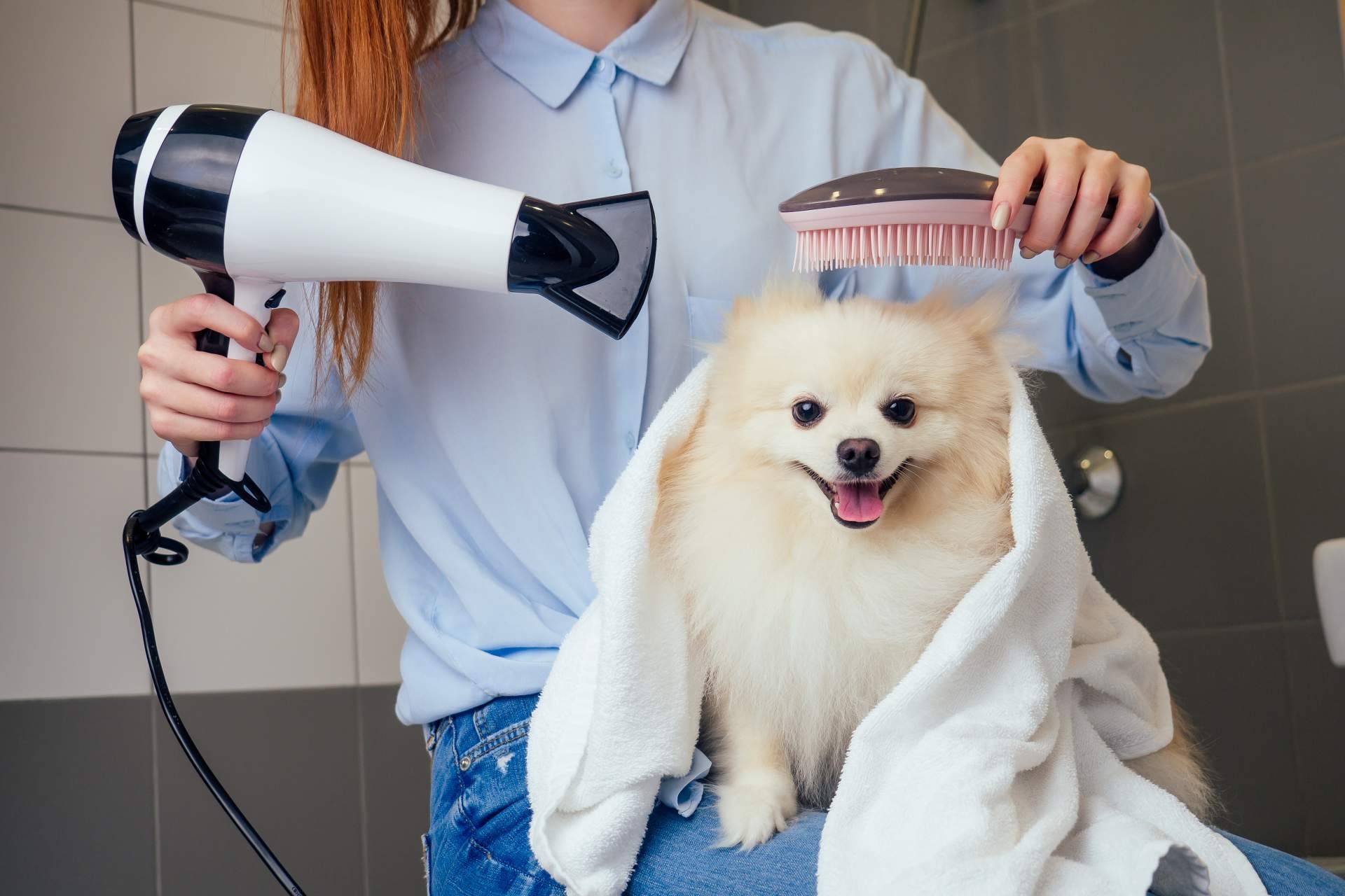 Los beneficios de confiar en la peluquería Perrukings ubicada en Madrid