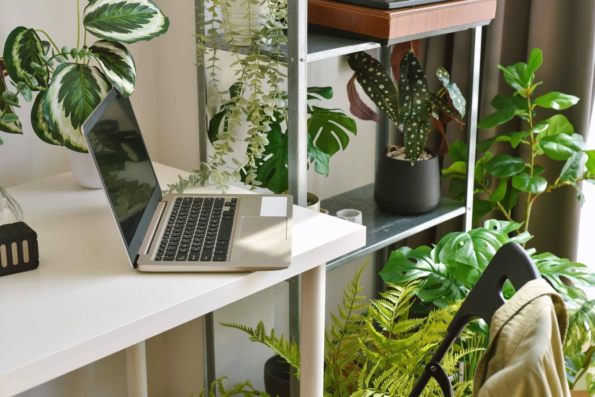 ¿Adiós a las plantas naturales? Descubrir por qué las plantas artificiales decorativas son la tendencia innovadora en el hogar