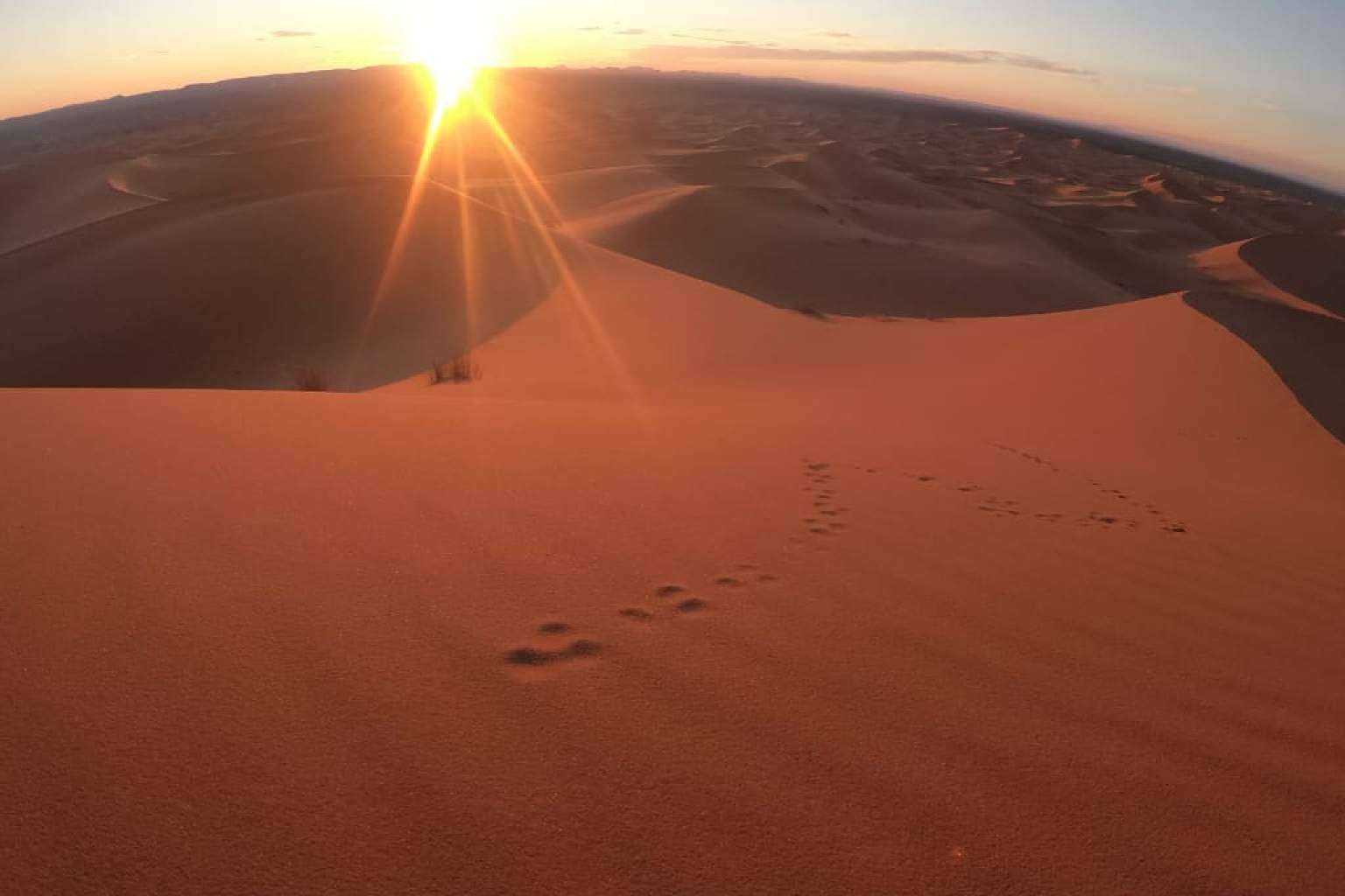 Excursiones en camello a las dunas de Erg Chebbi, de la mano de Camel Trekking Tours
